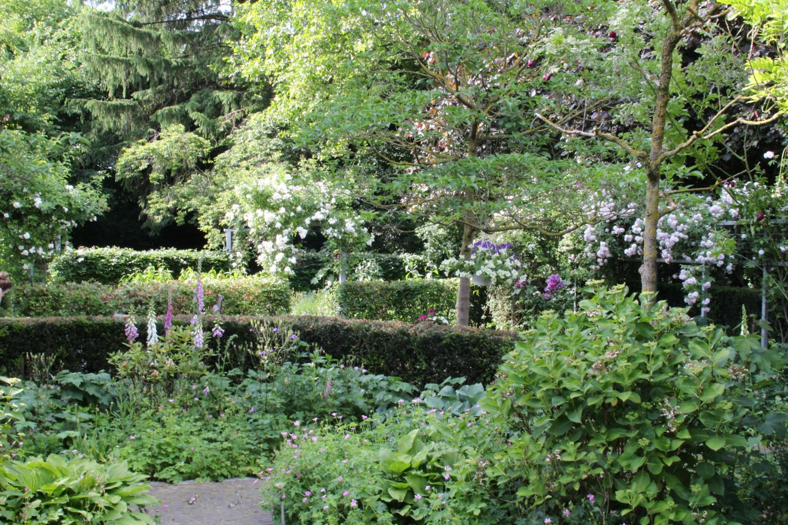Annelies'Place to B& B view 5