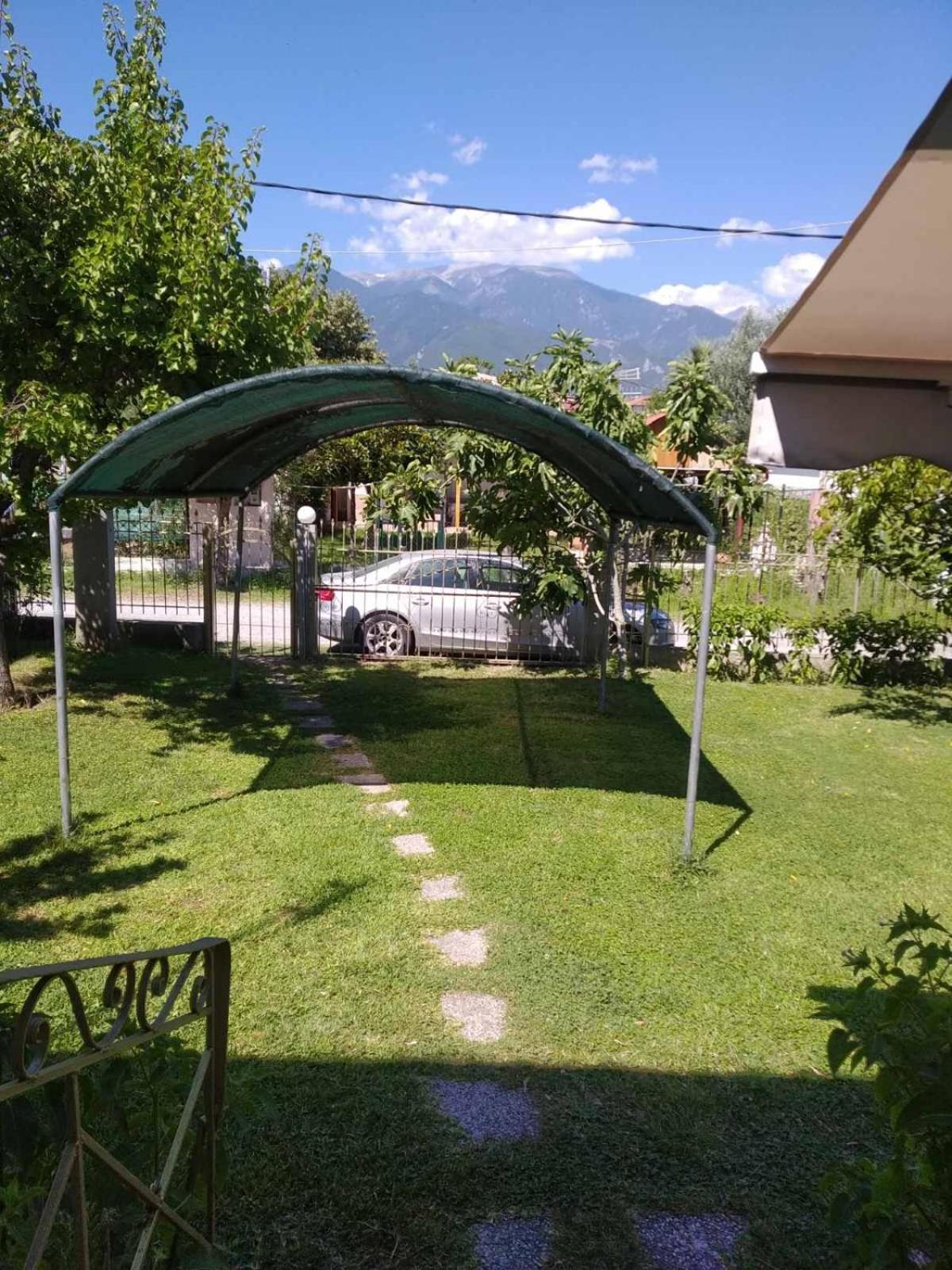 Photo 46