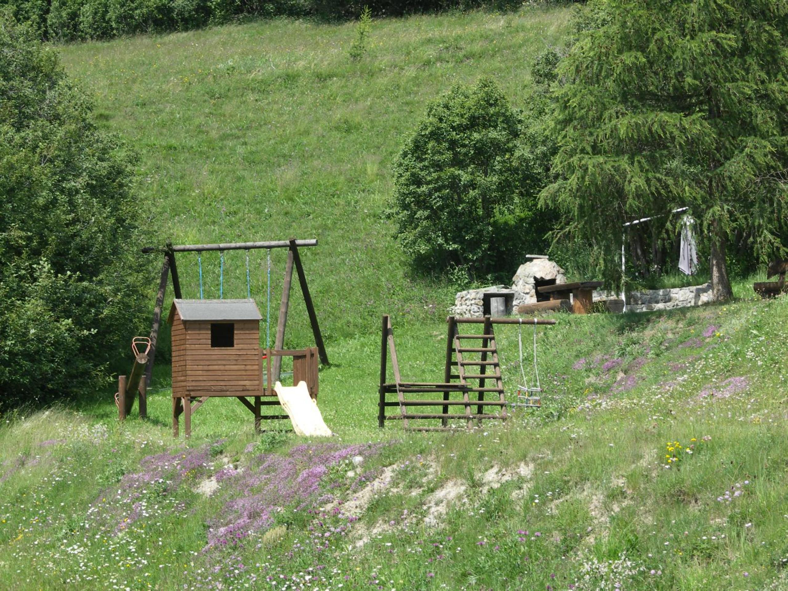 Photo 50
