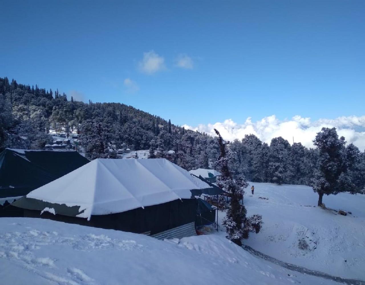 Camping at Serene Chopta view 2
