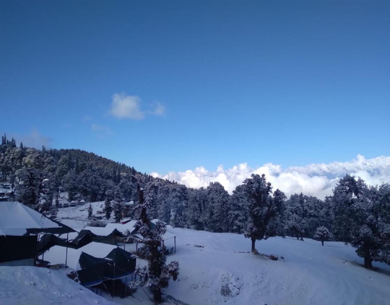 Camping at Serene Chopta view 3