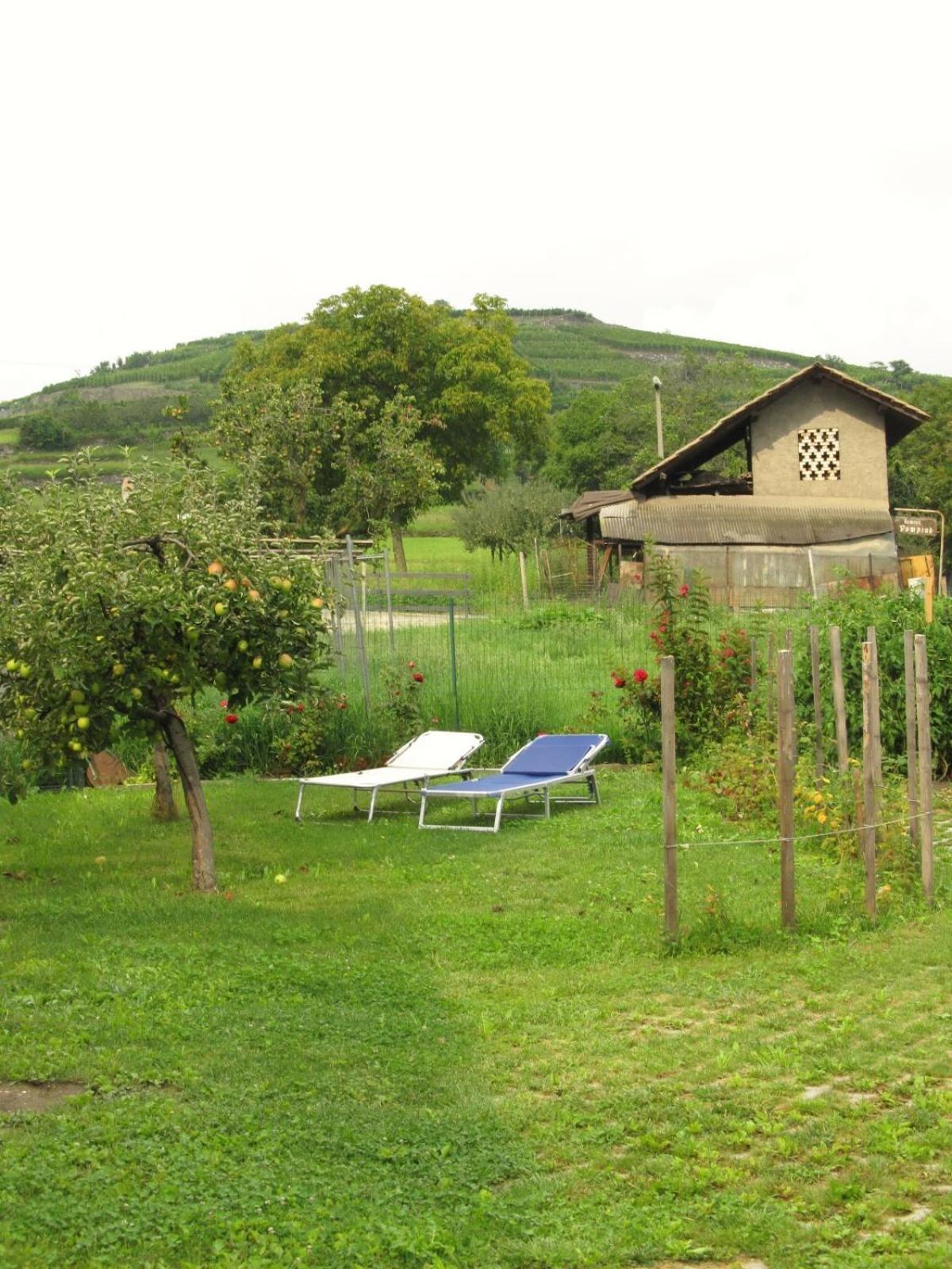 Alloggio Gran Paradiso photo 3