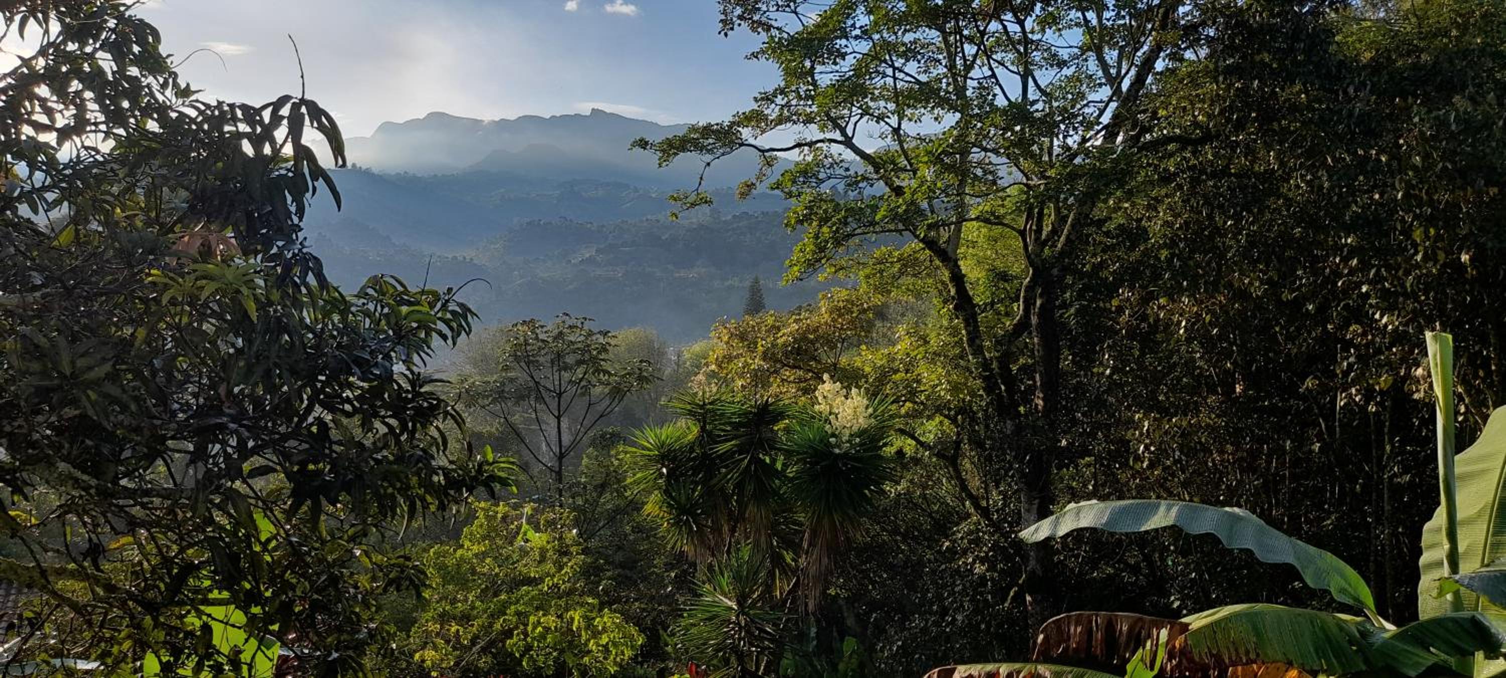 Aire Libre Descanso