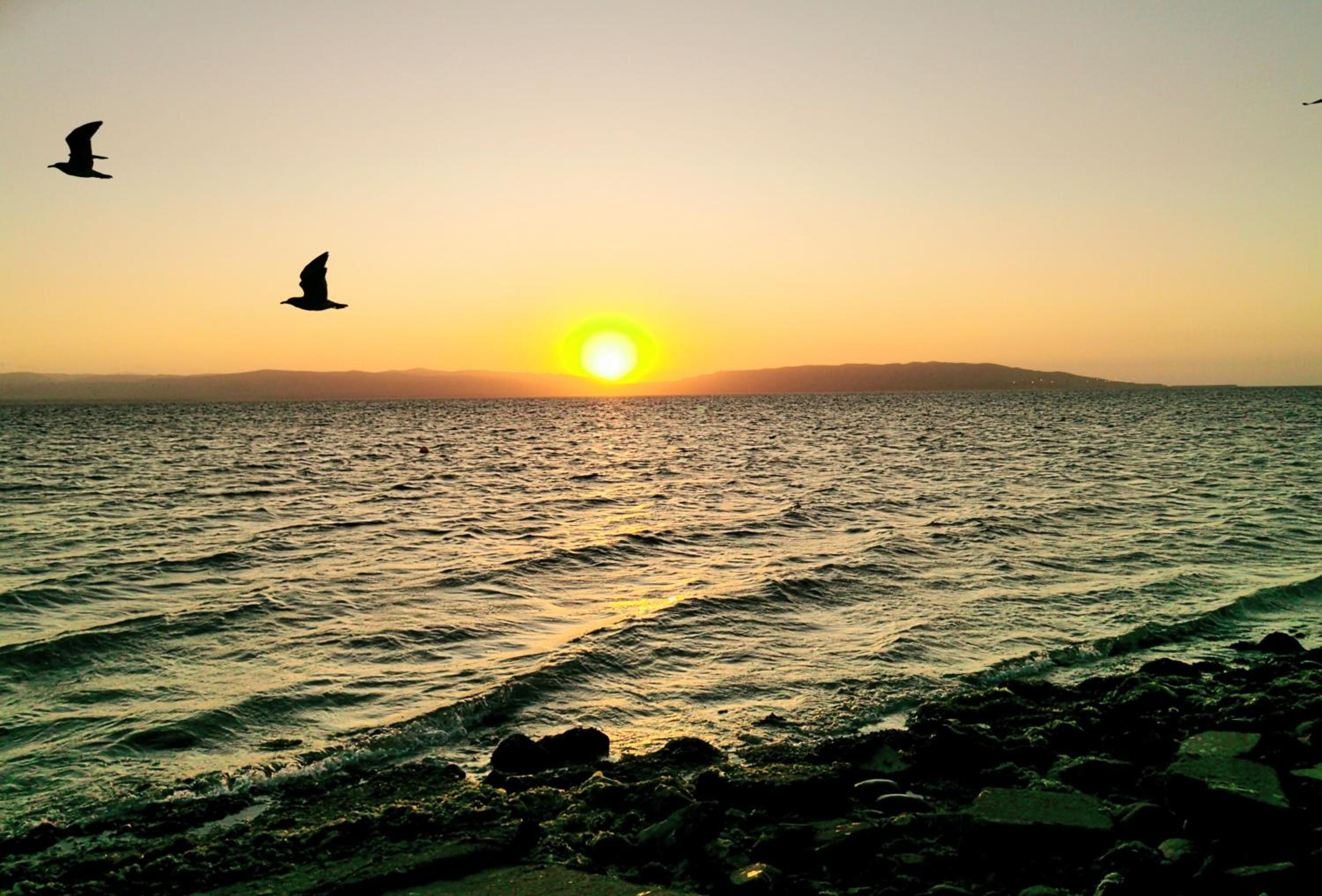 Photo 43
