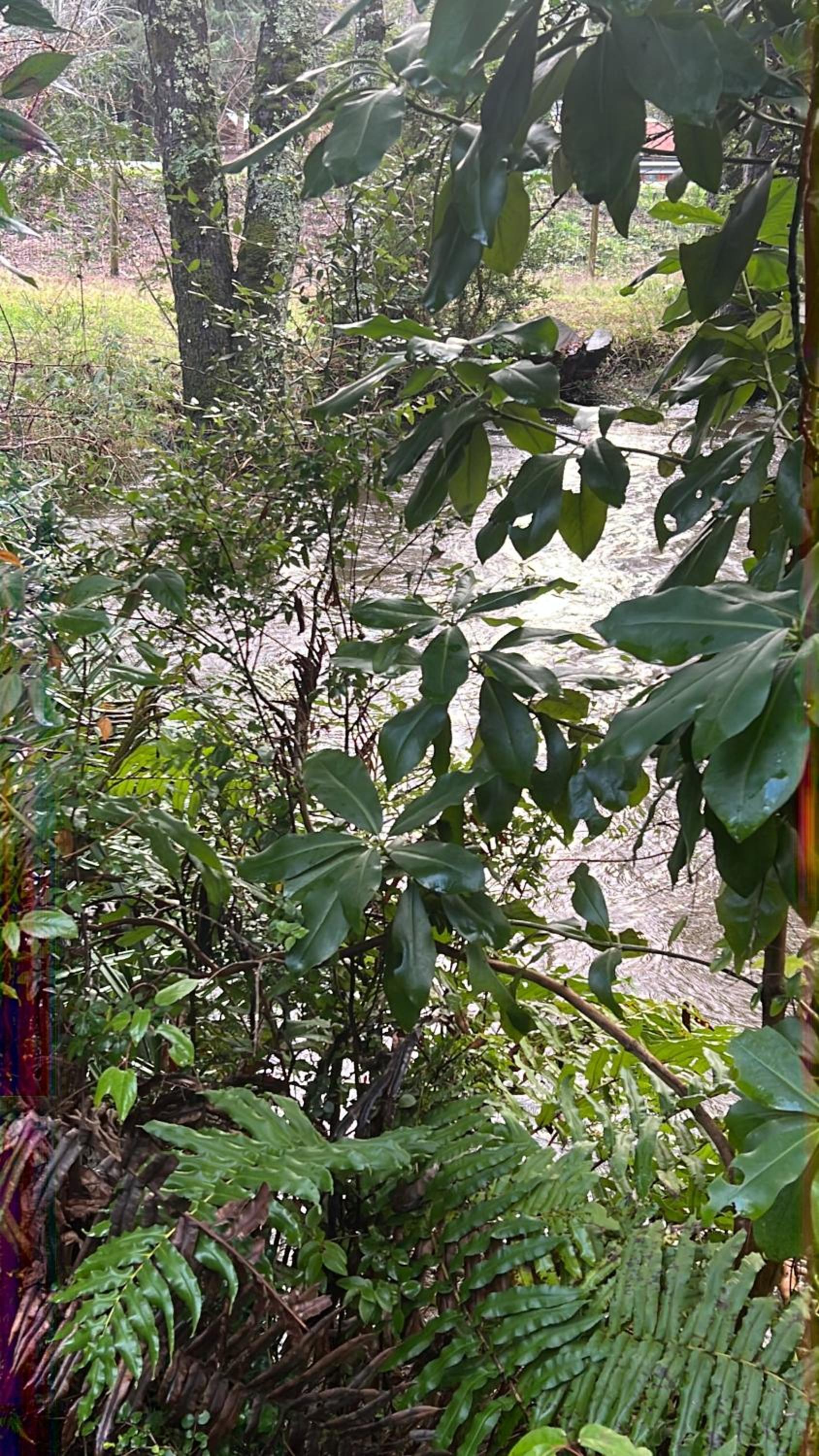 Cabañas y Hostal Casa de Campo Rukaleufu a orillas del Rio Huiscapi