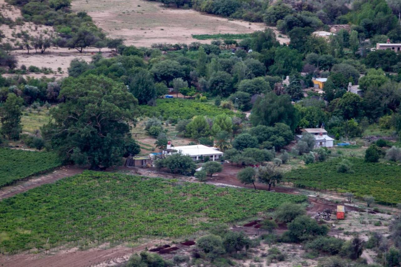 finca el Rincón