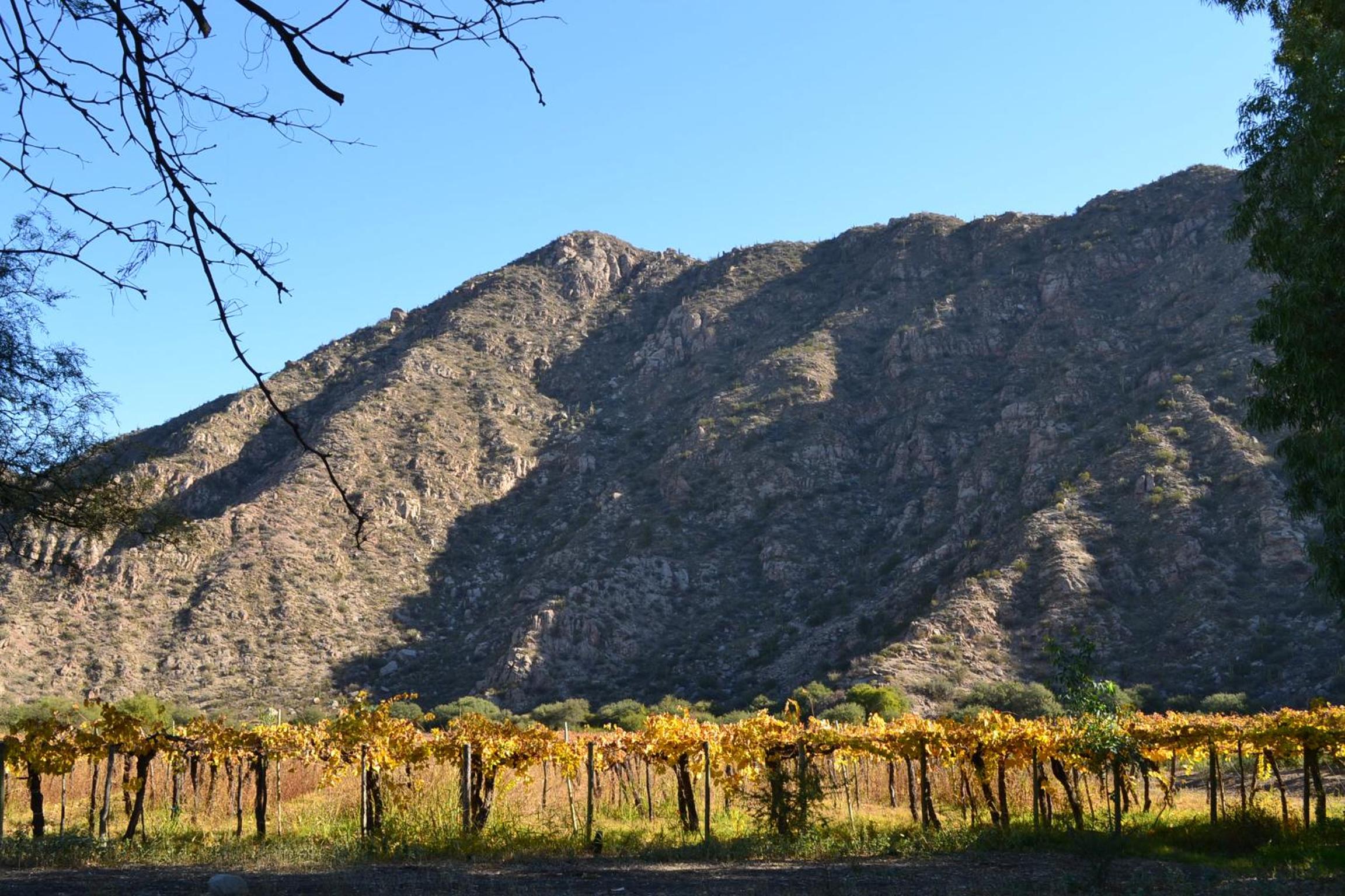 finca el Rincón