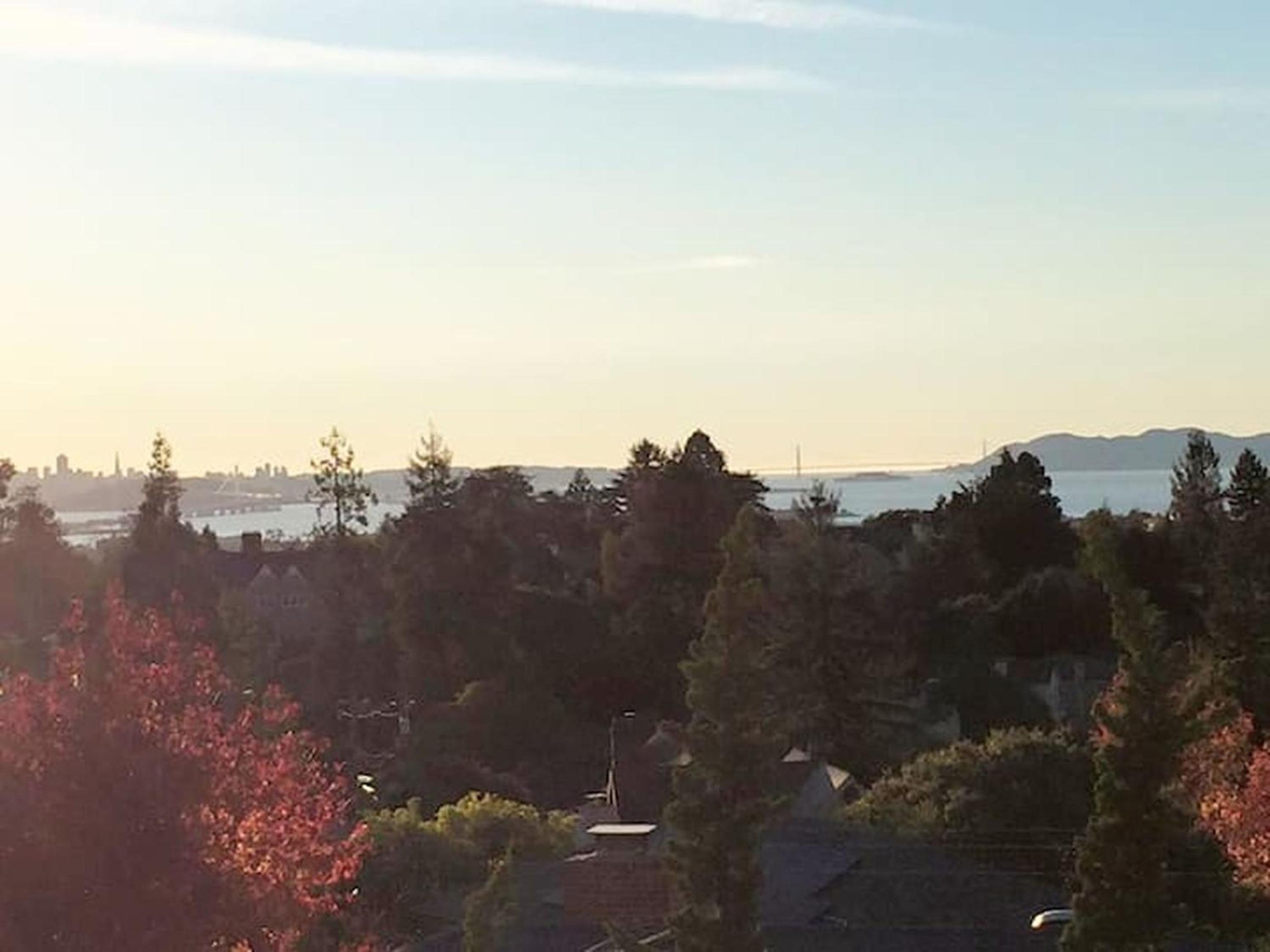 Serene Charming Private Suite Patio, Upscale Berkeley view 4