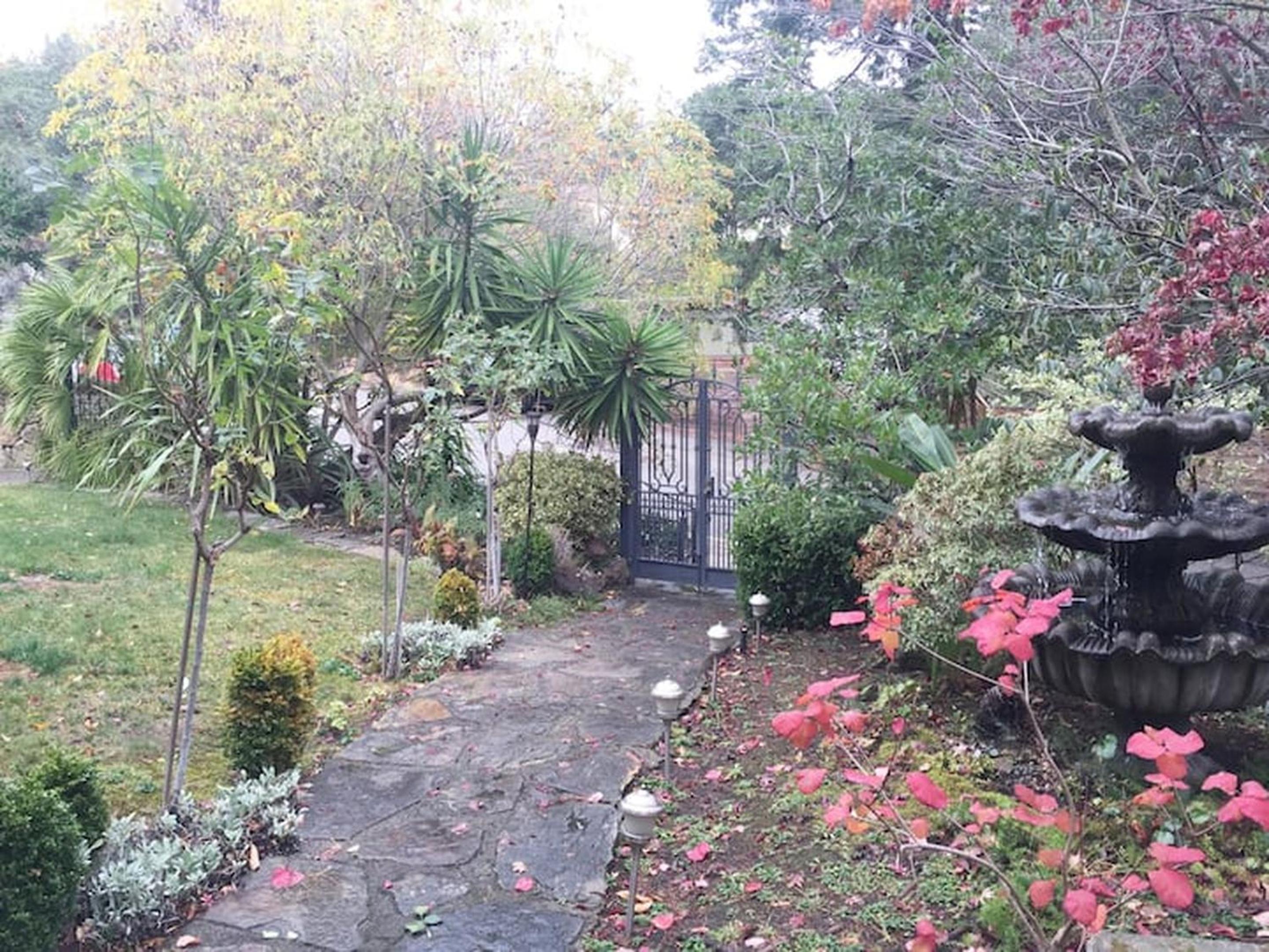 Serene Charming Private Suite Patio, Upscale Berkeley view 3