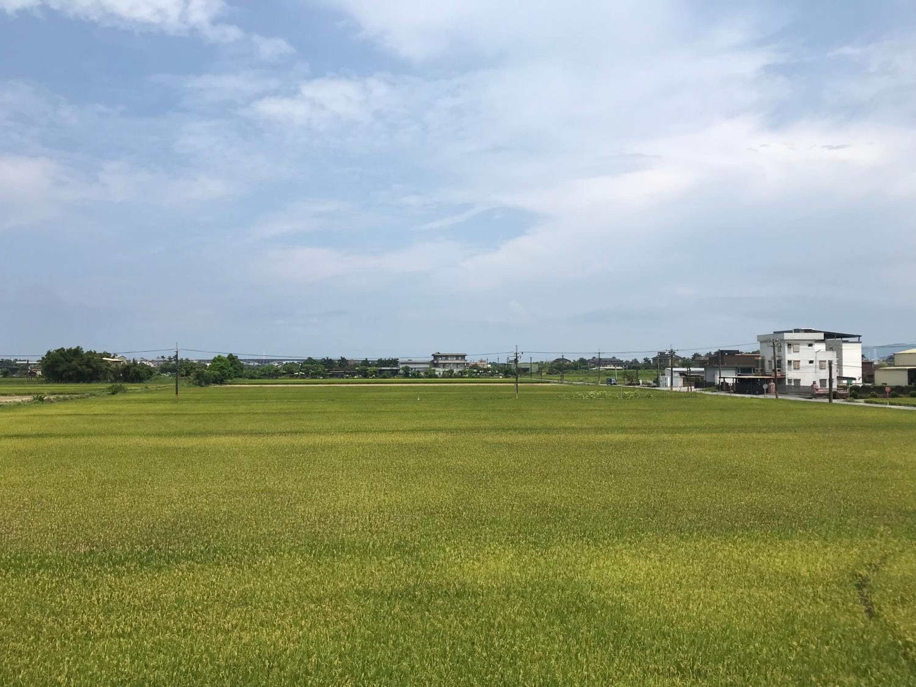 Four Seasons Homestay