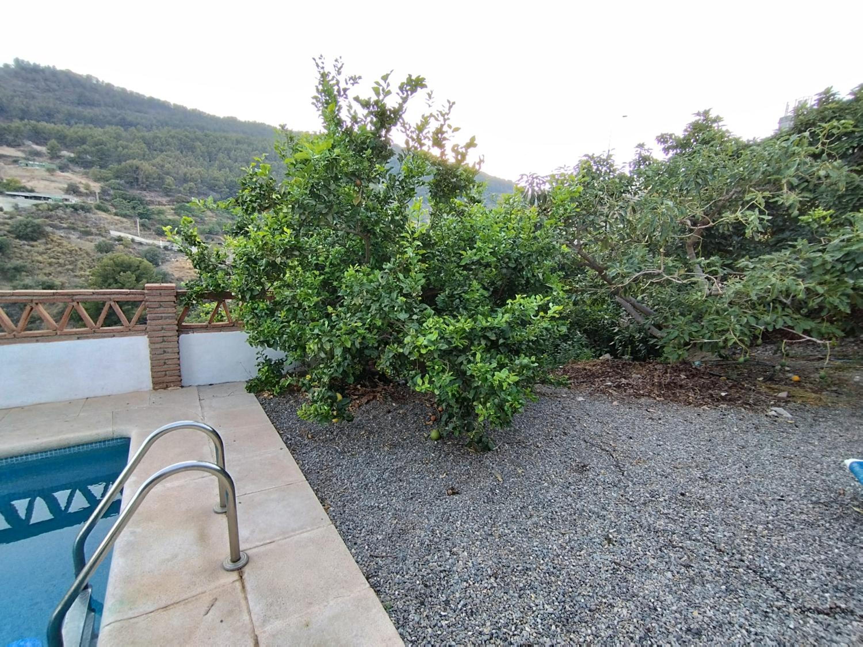 CORTIJO LA YEGUA