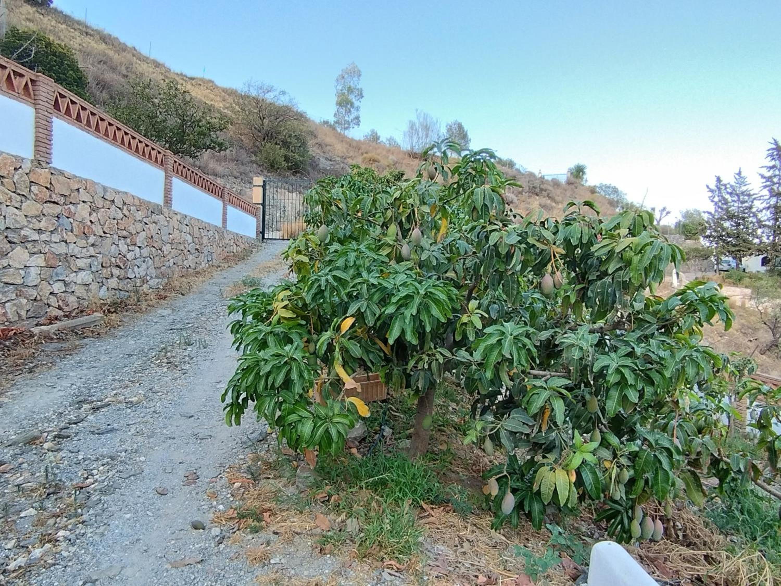 CORTIJO LA YEGUA