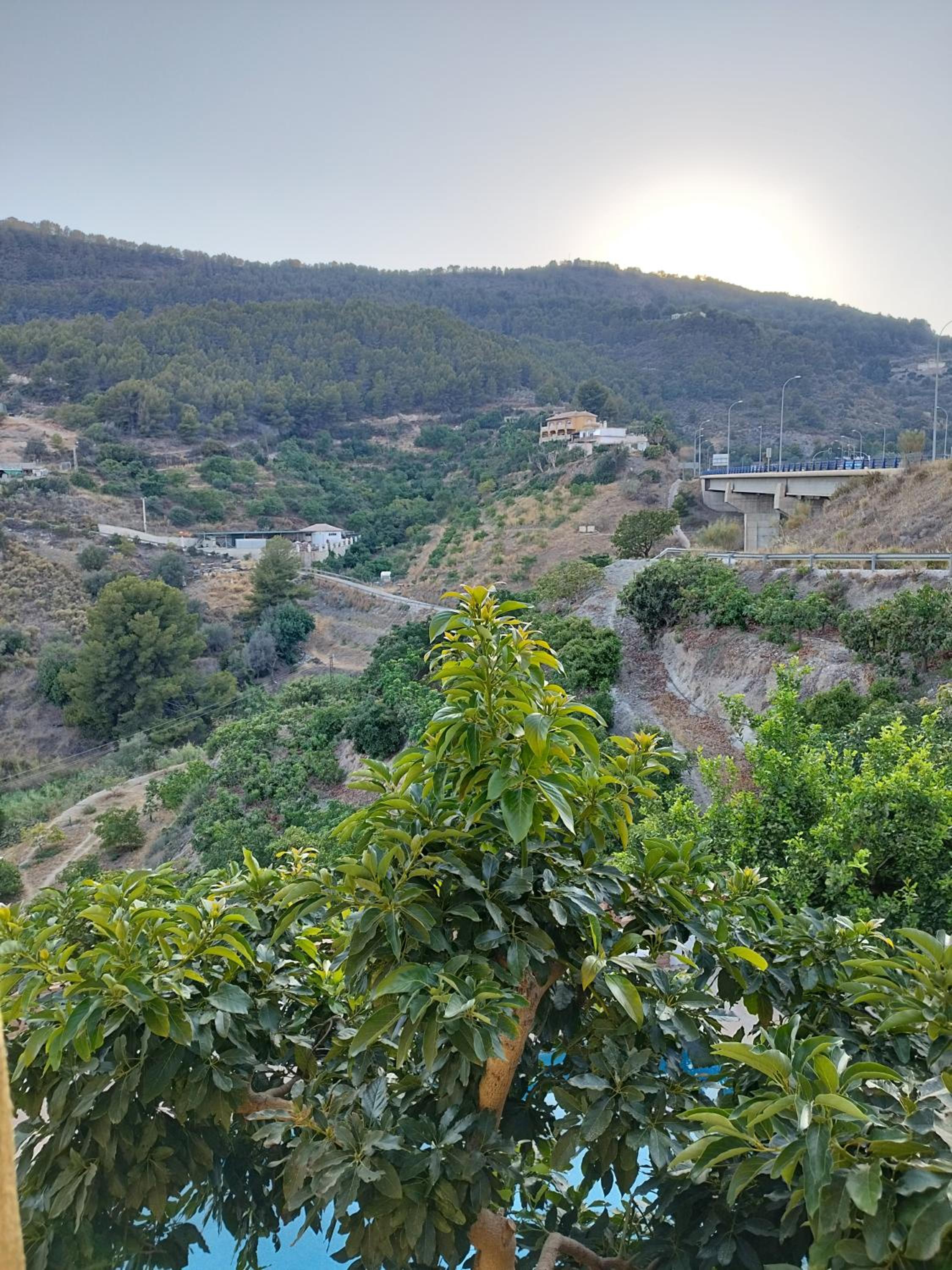 CORTIJO LA YEGUA