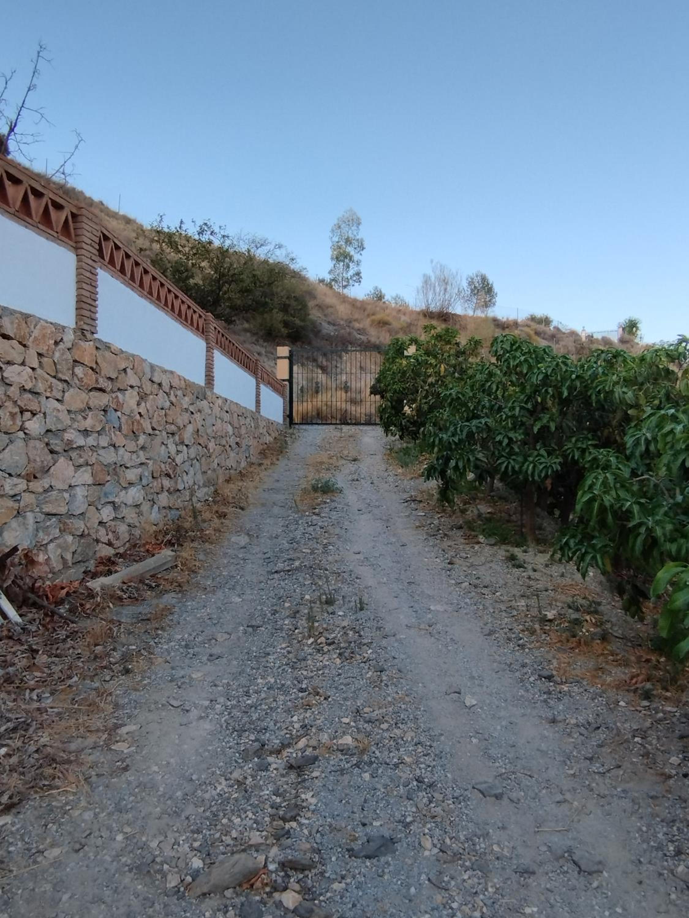CORTIJO LA YEGUA