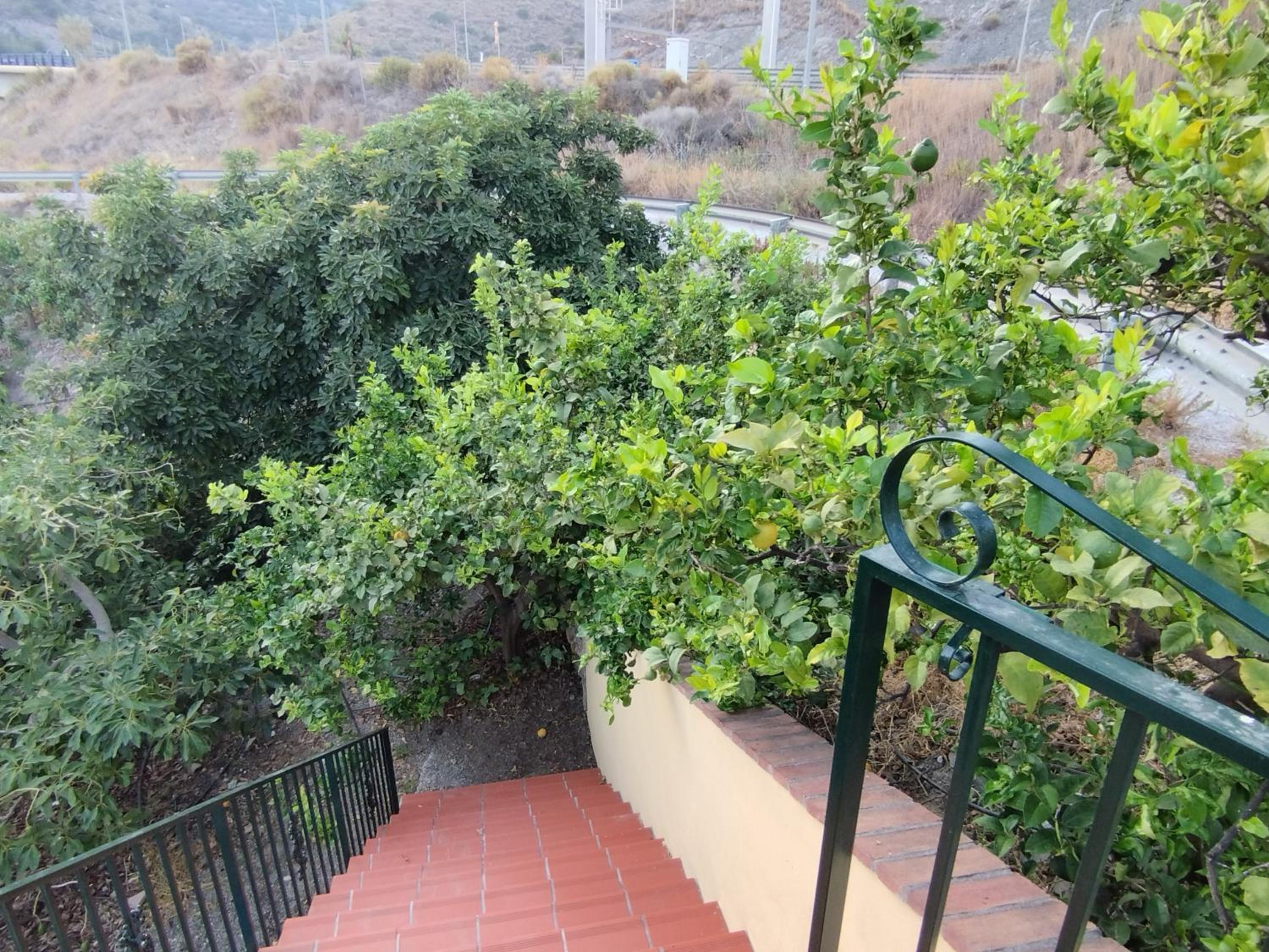 CORTIJO LA YEGUA
