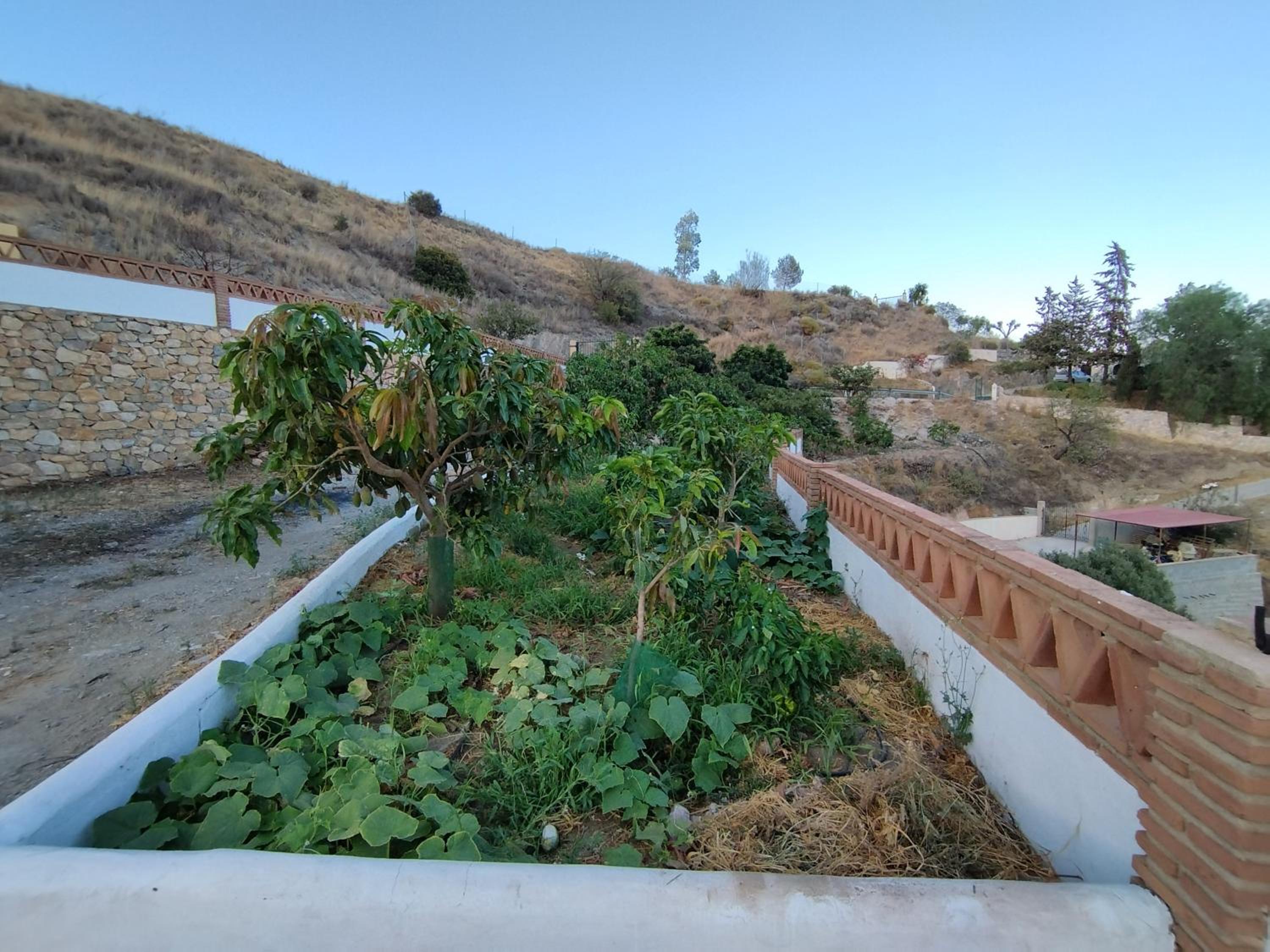 CORTIJO LA YEGUA