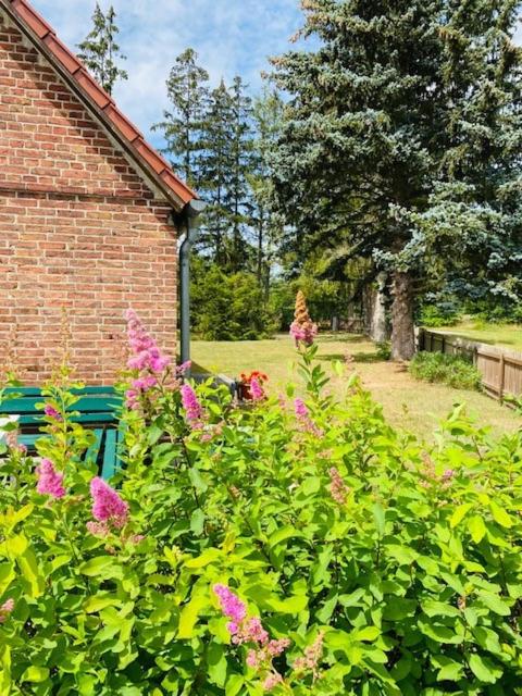 Ferienhaus am Seegrund