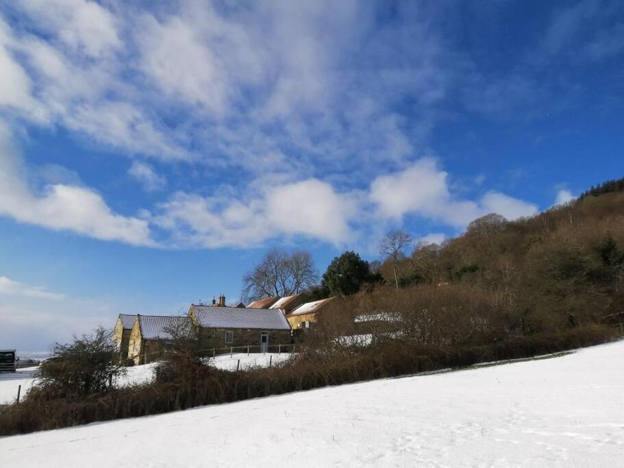 Luddie's Country Cottages - Poppy Cottage view 4