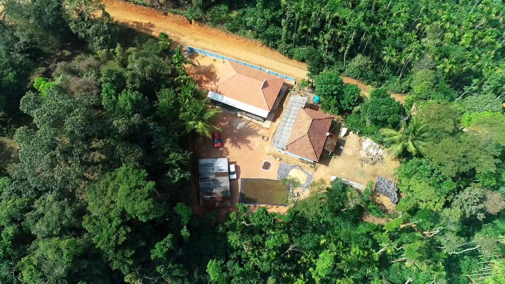 BlueMoon Homestay - Home Food, Estate, Near to Falls and View Points view 4