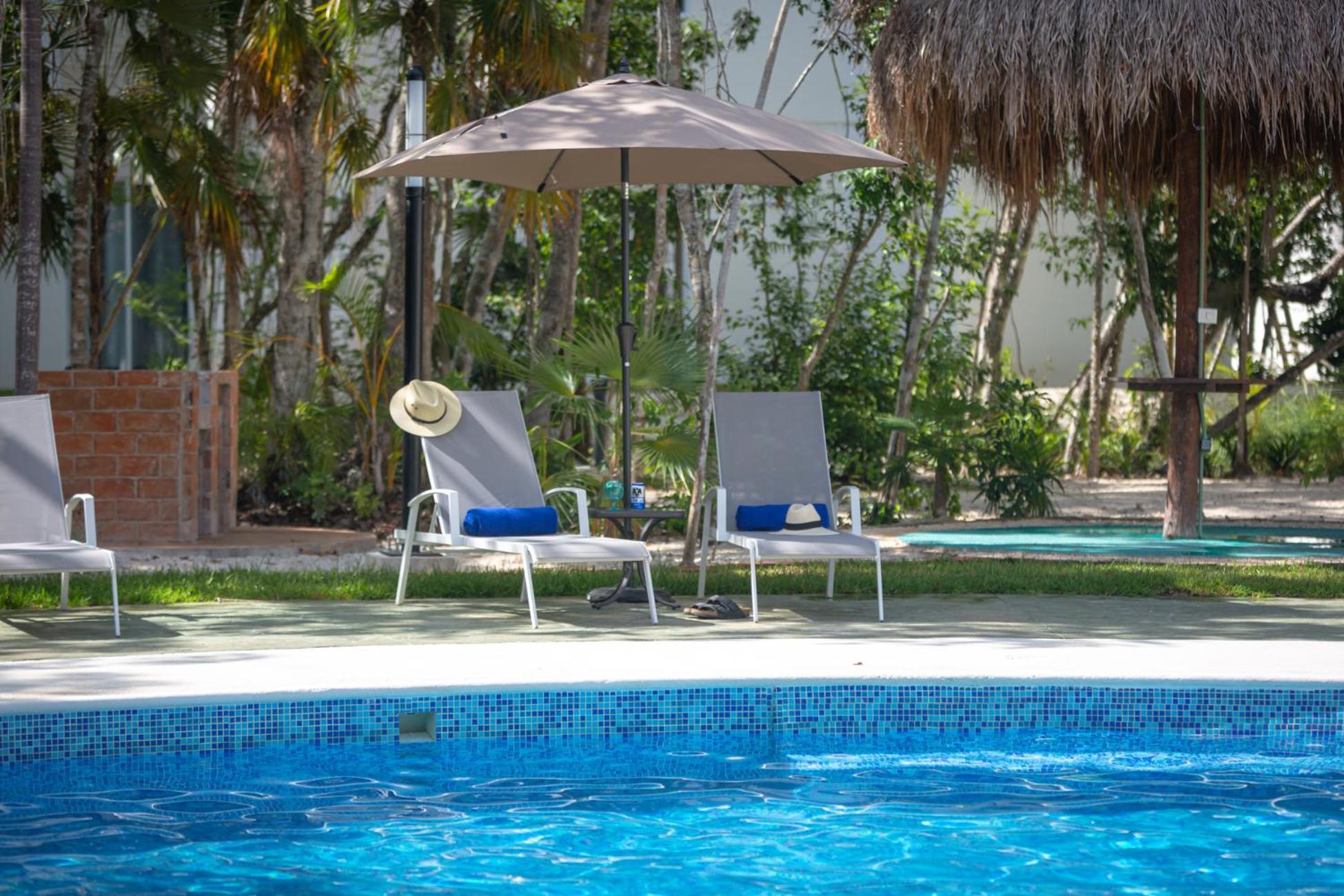 Casa Jaguar view 5