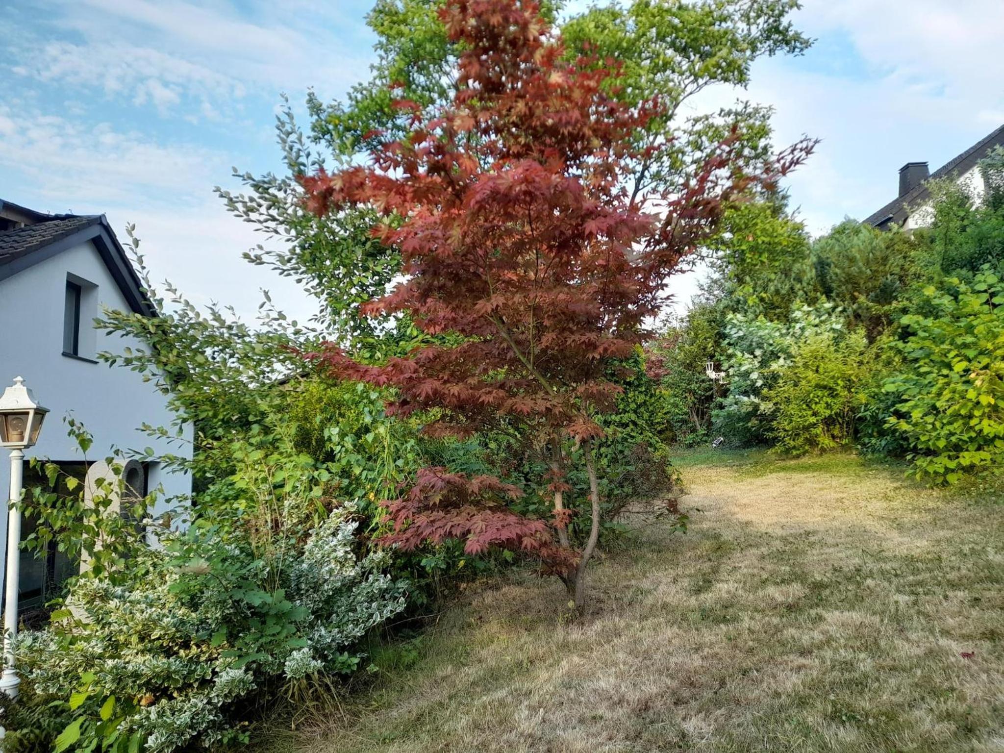 Haus EDDA - Ferienwohnungen mit Garten und Schlossblick - Property Image 9