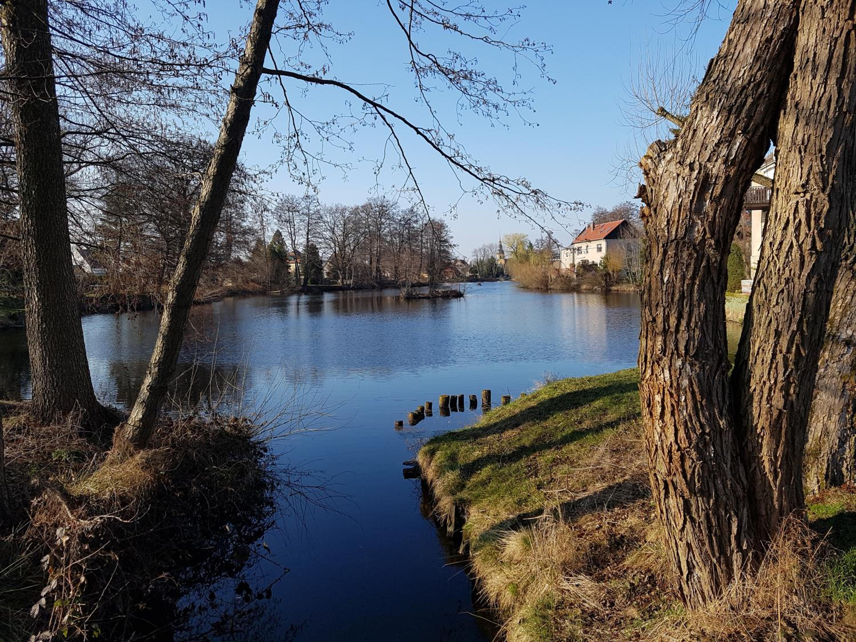 Zum Eulennest