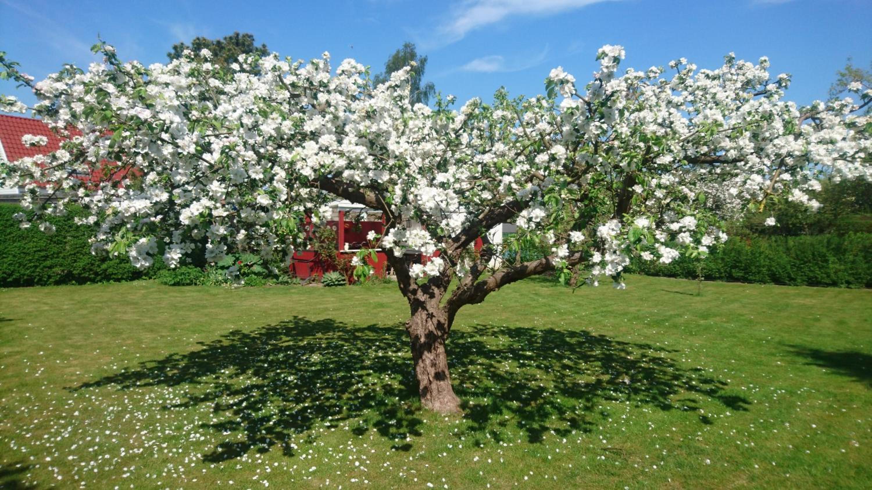 Bymarkens B&B