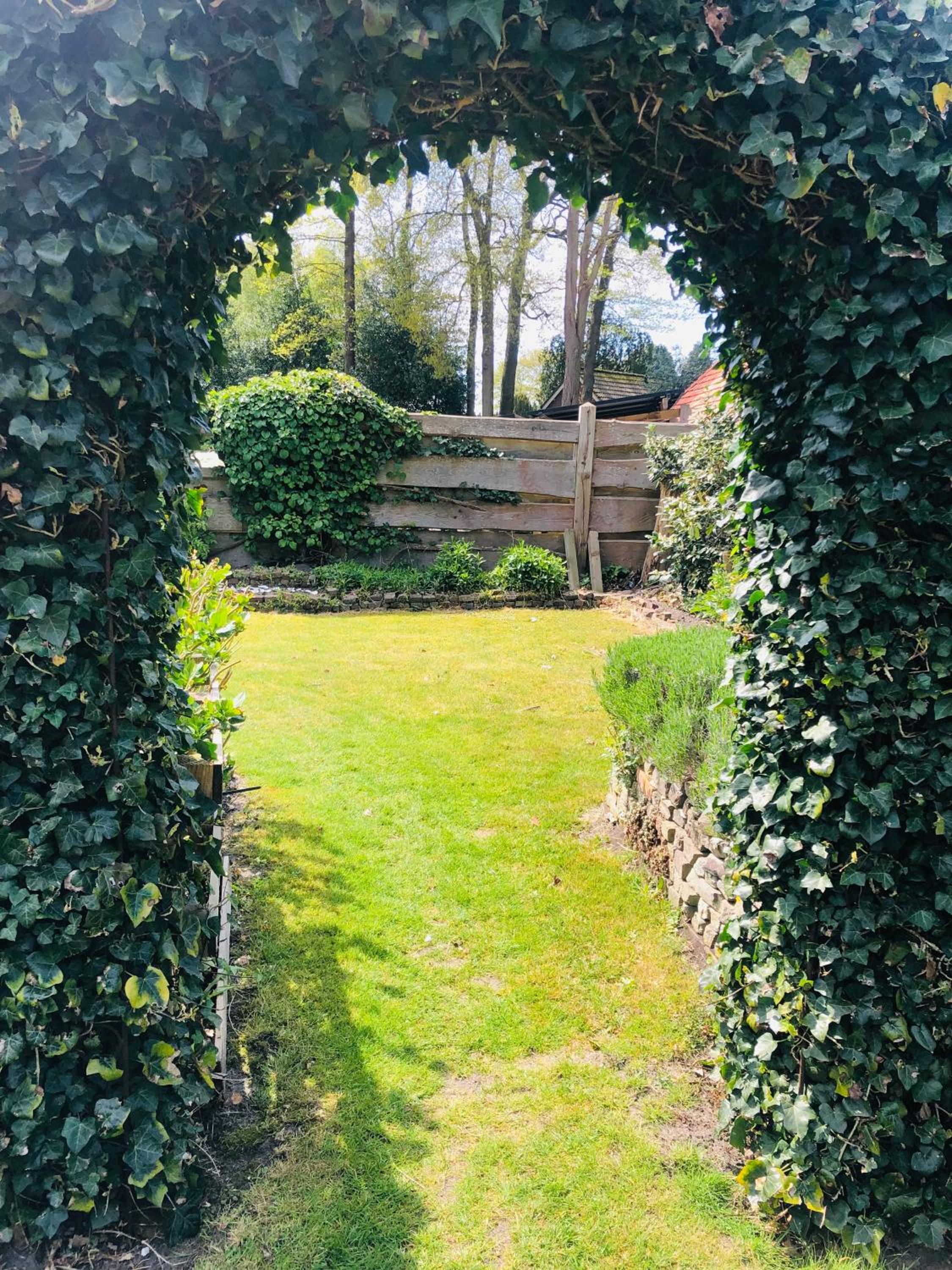Photo 14