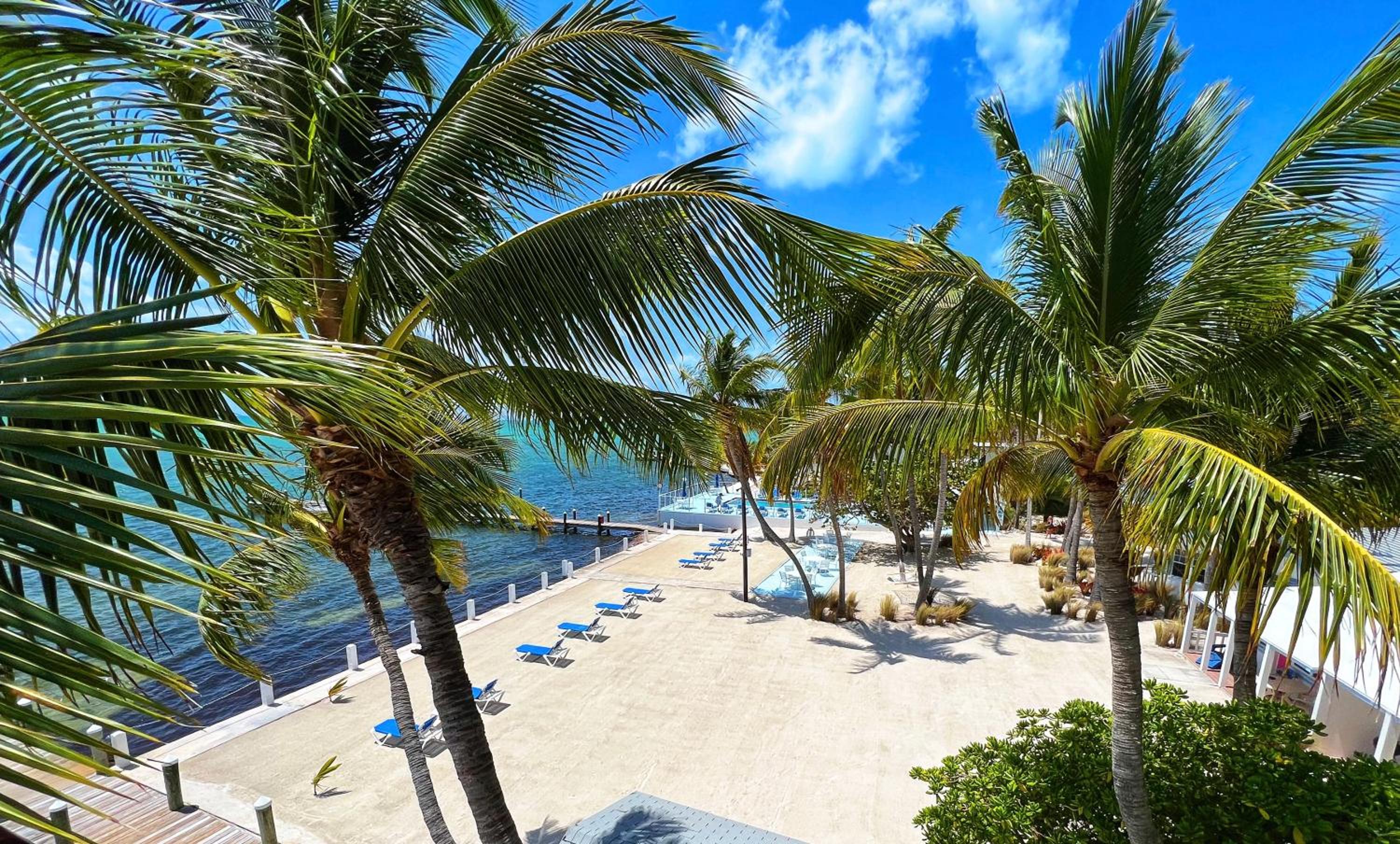 Pines & Palms Resort view 5