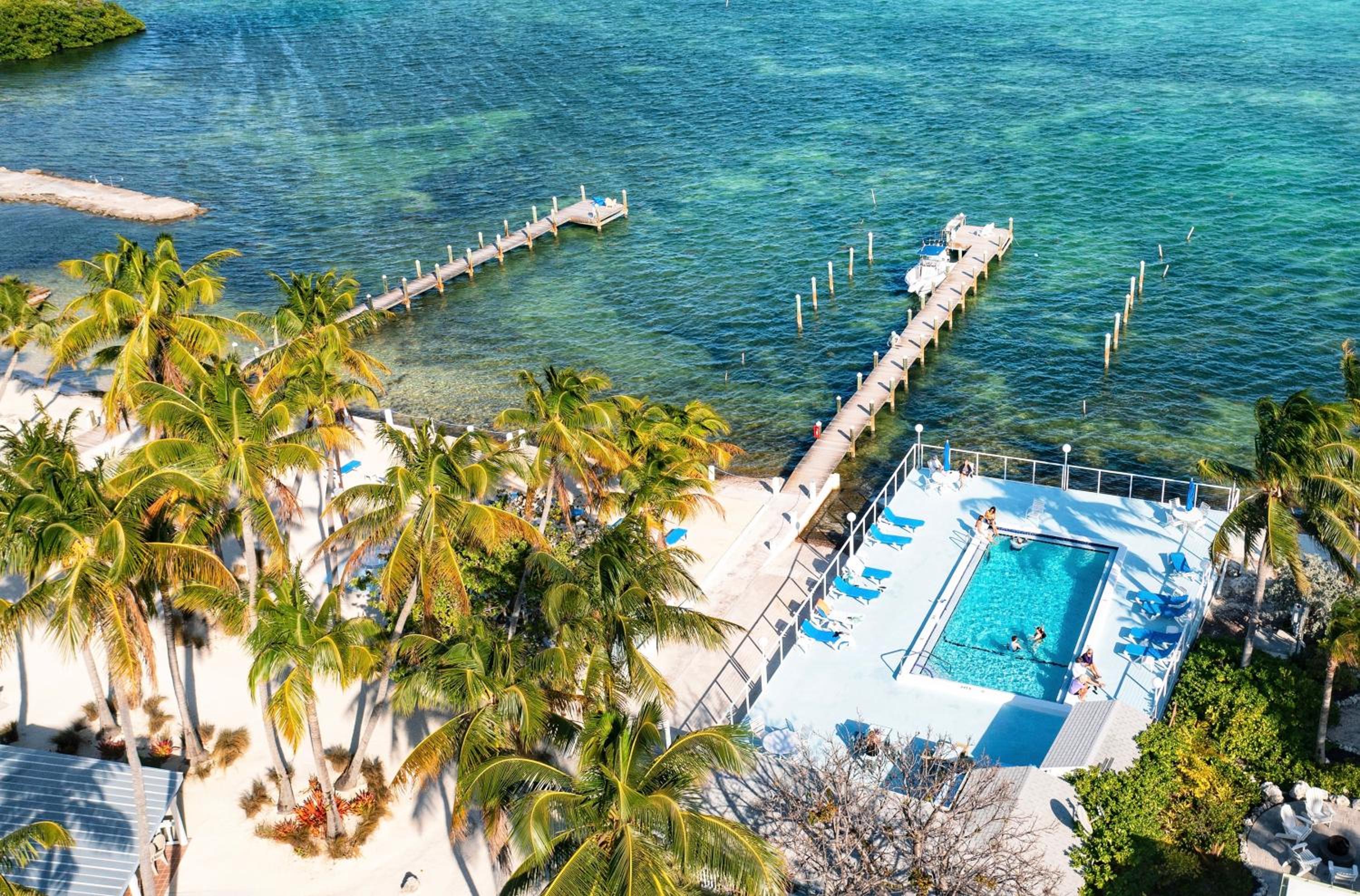Pines & Palms Resort view 4