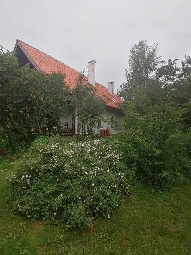Photo 29
