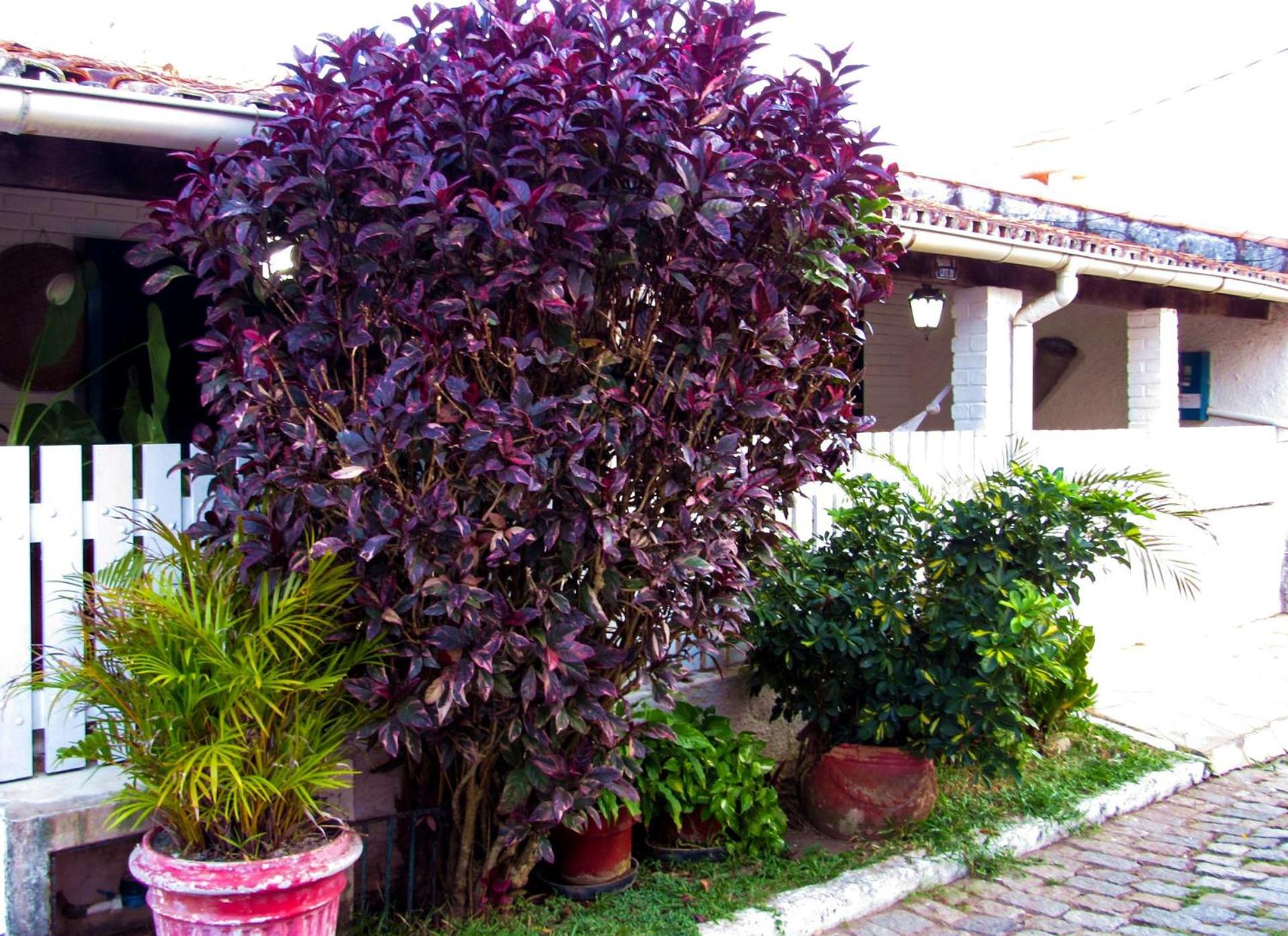 Casa c churrasq e lazer perto do mar, Cabo Frio RJ