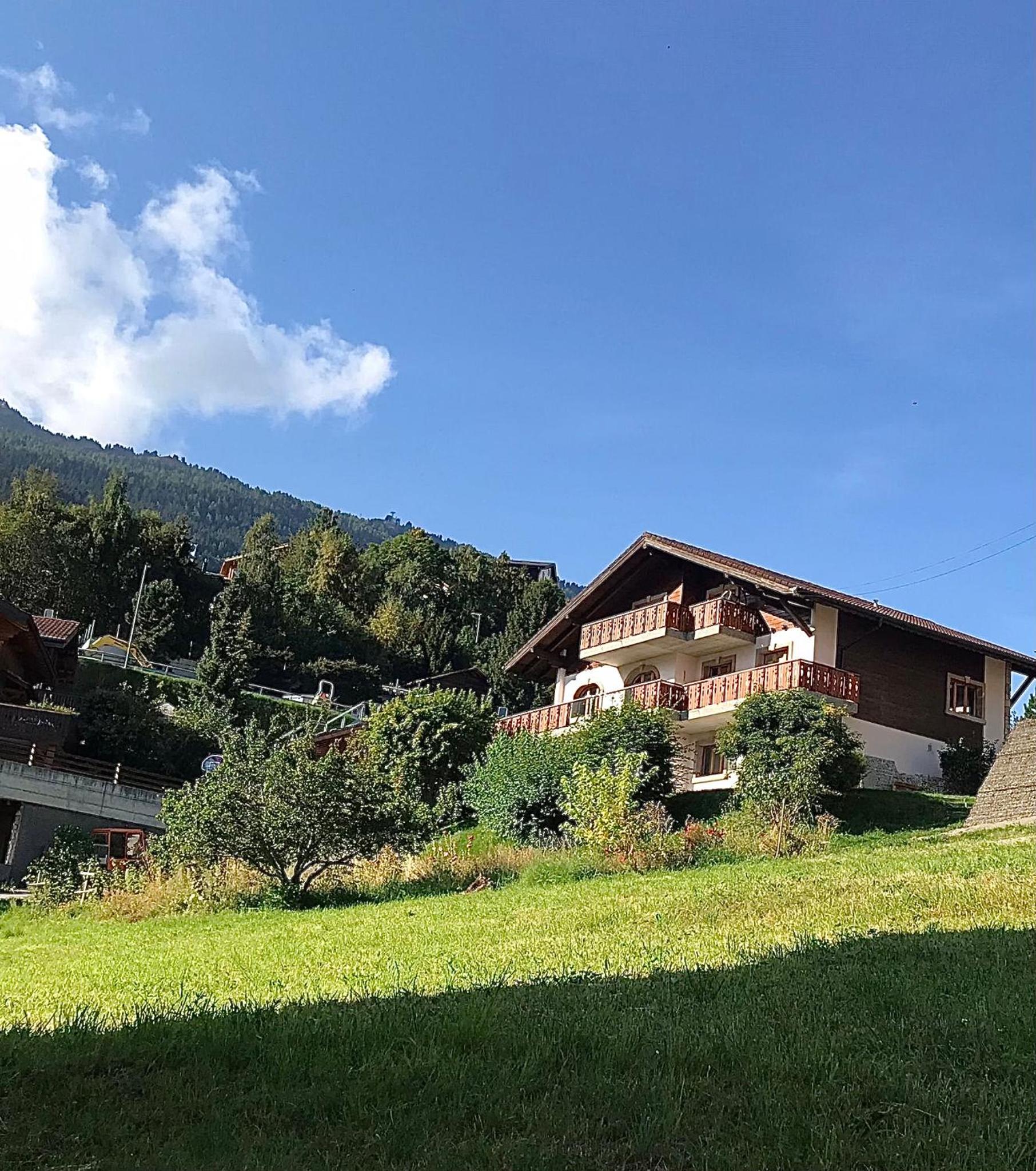Chalet la Tulipe, mountain view, Terrace, BBQ view 3