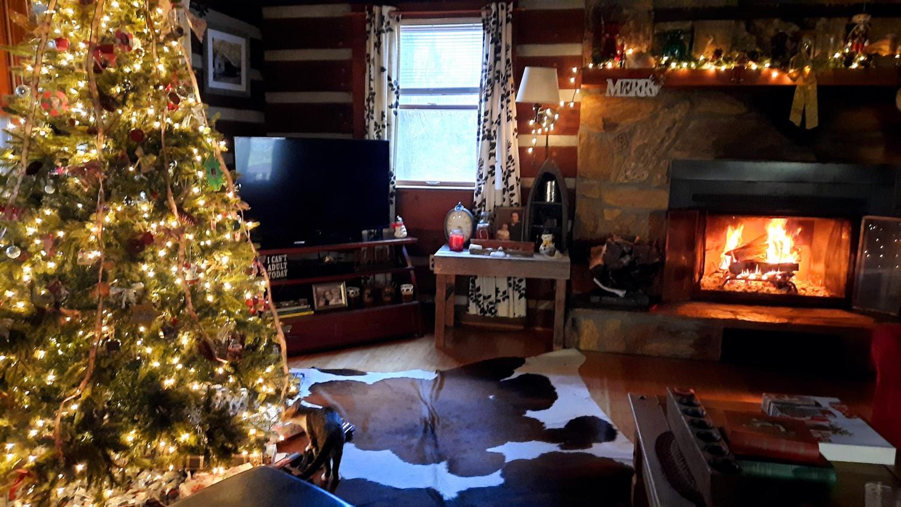 The Mountain Forager Cabin, Bryson City NC view 5