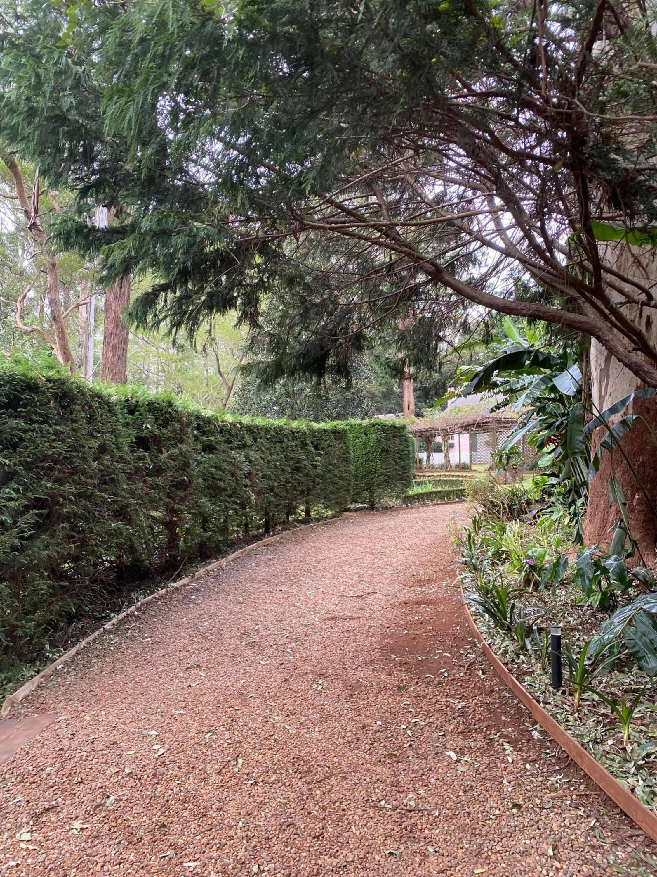 The Romantic Pink English Cottage at Tamborine Mountain