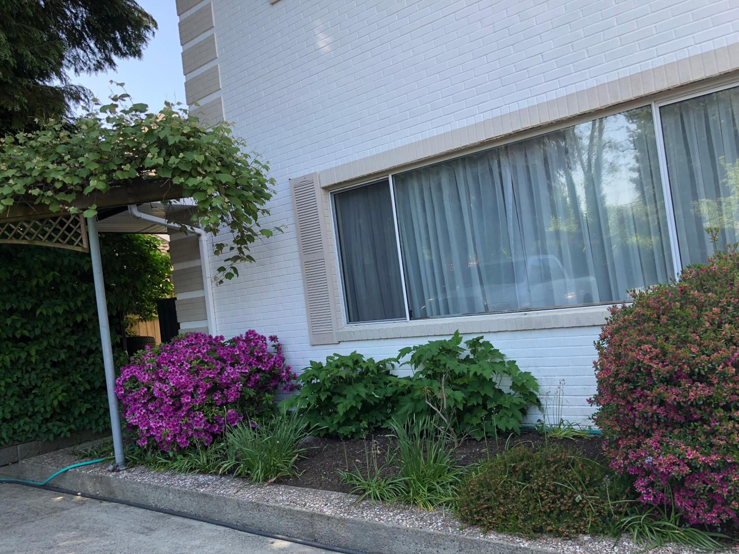 Photo 17 sur 53 de Vancouver shaughnessy guest home