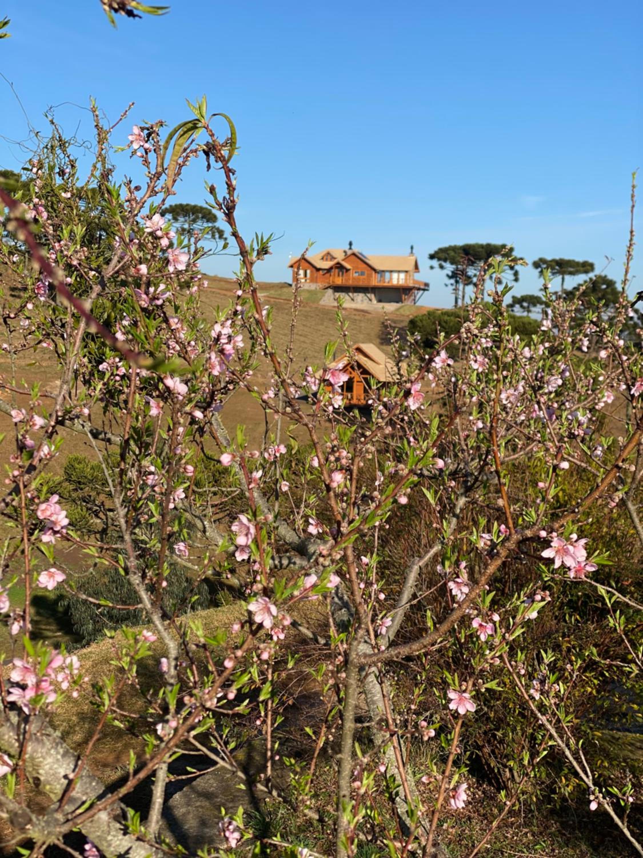 Tenuta Bergamaschi