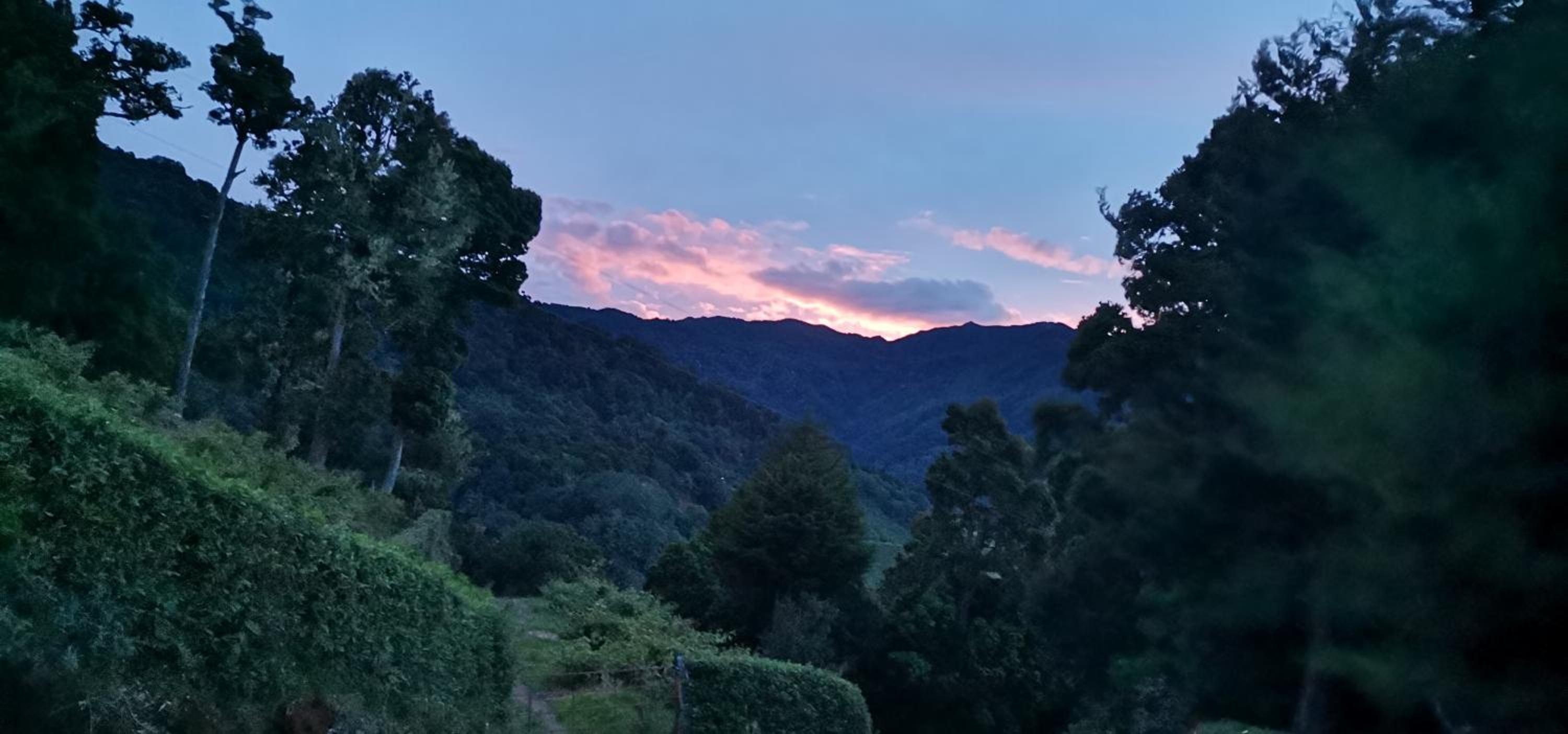 Casa de campo Jaulares