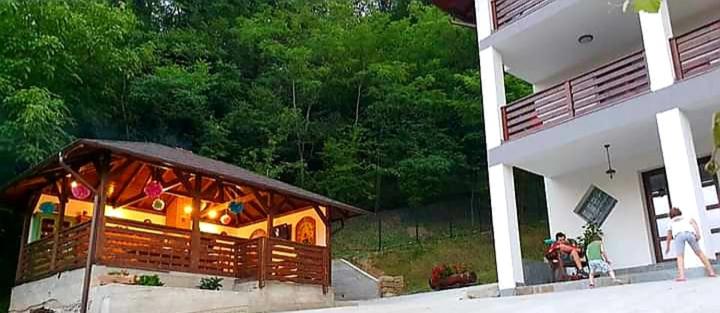 Casa Albinuța