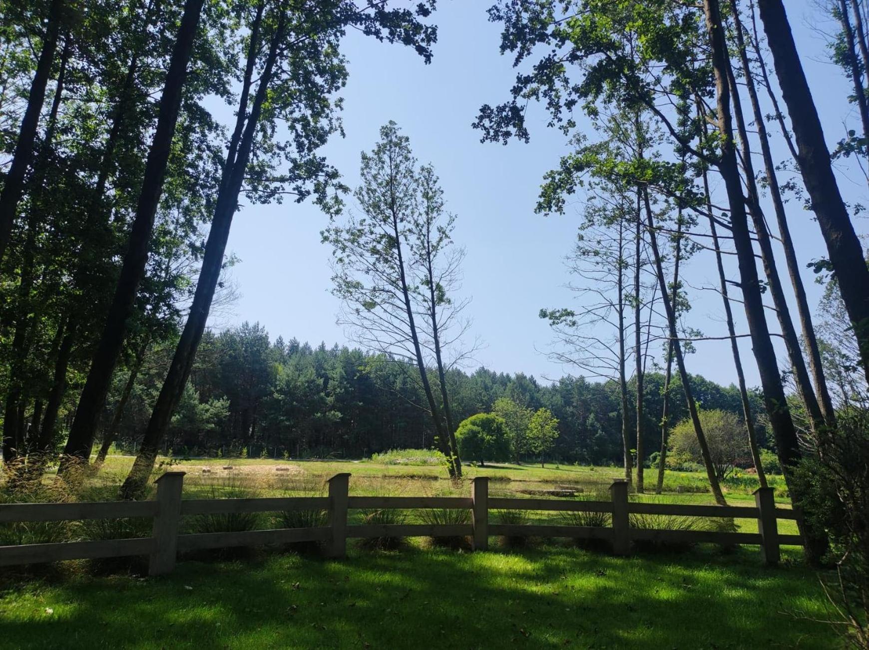 FORGLAMP, photo 72