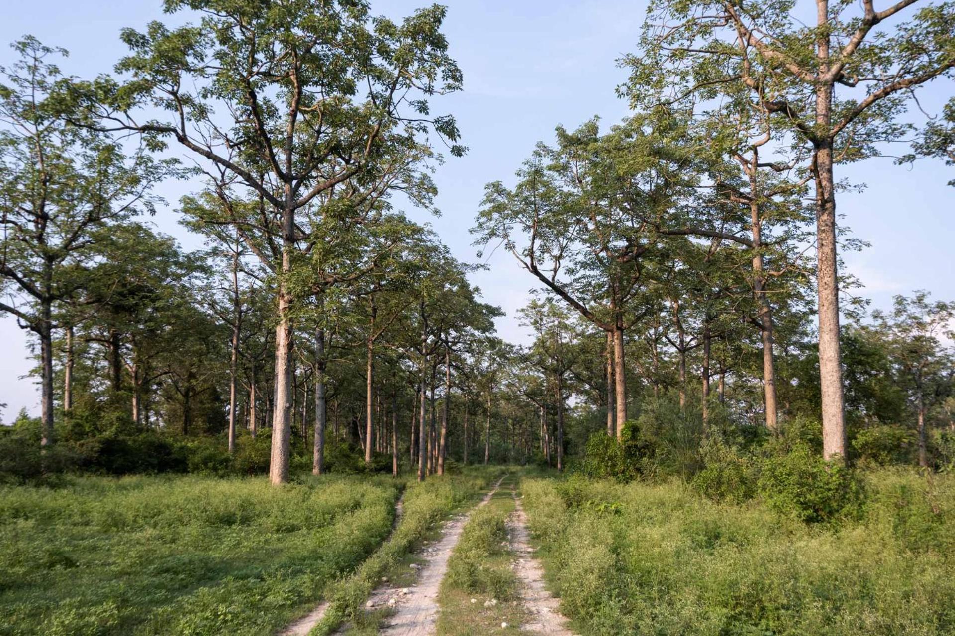 Mango Trails by VEO - Part of StayVista view 5