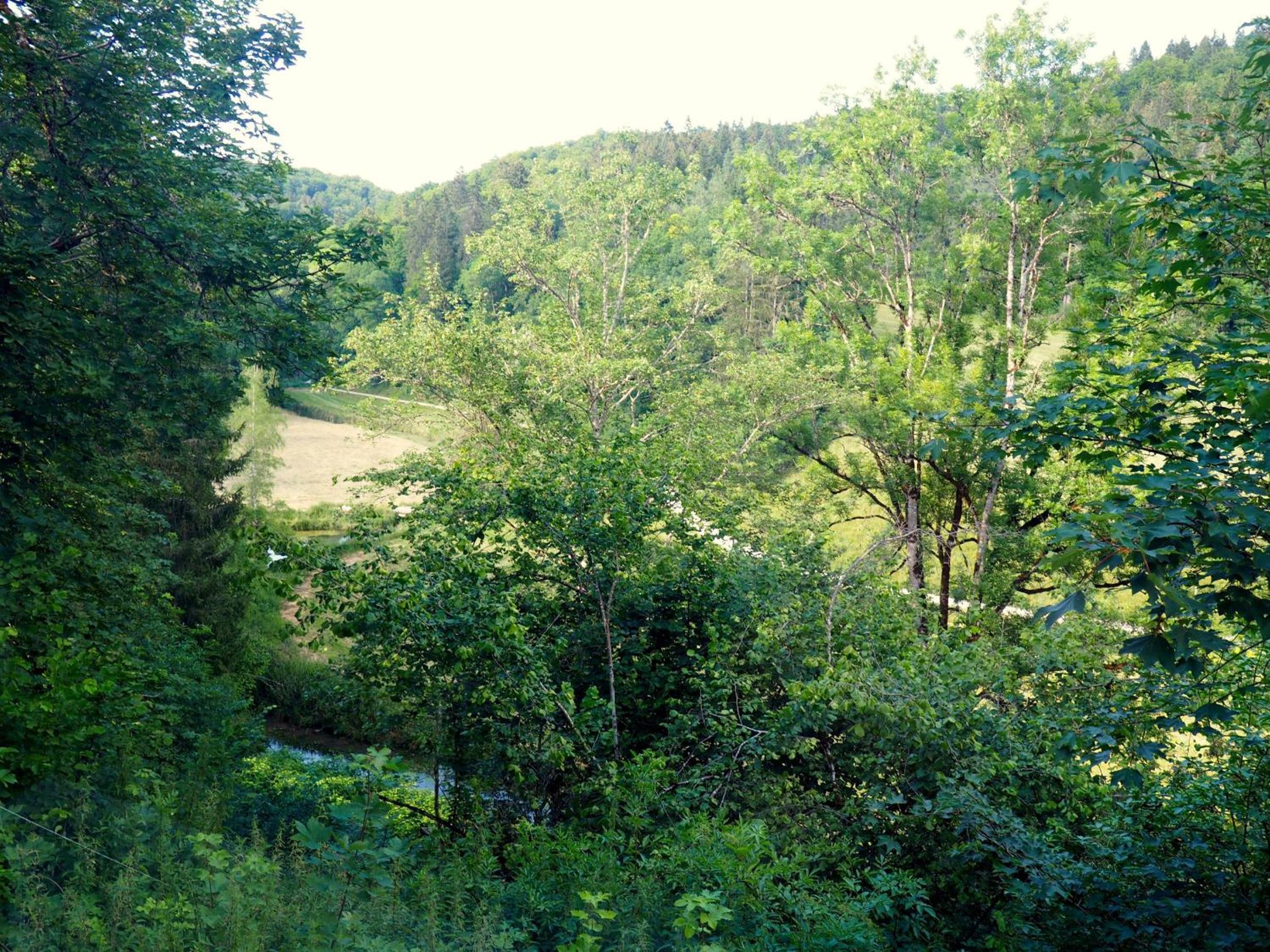 Schloss Ehrenfels