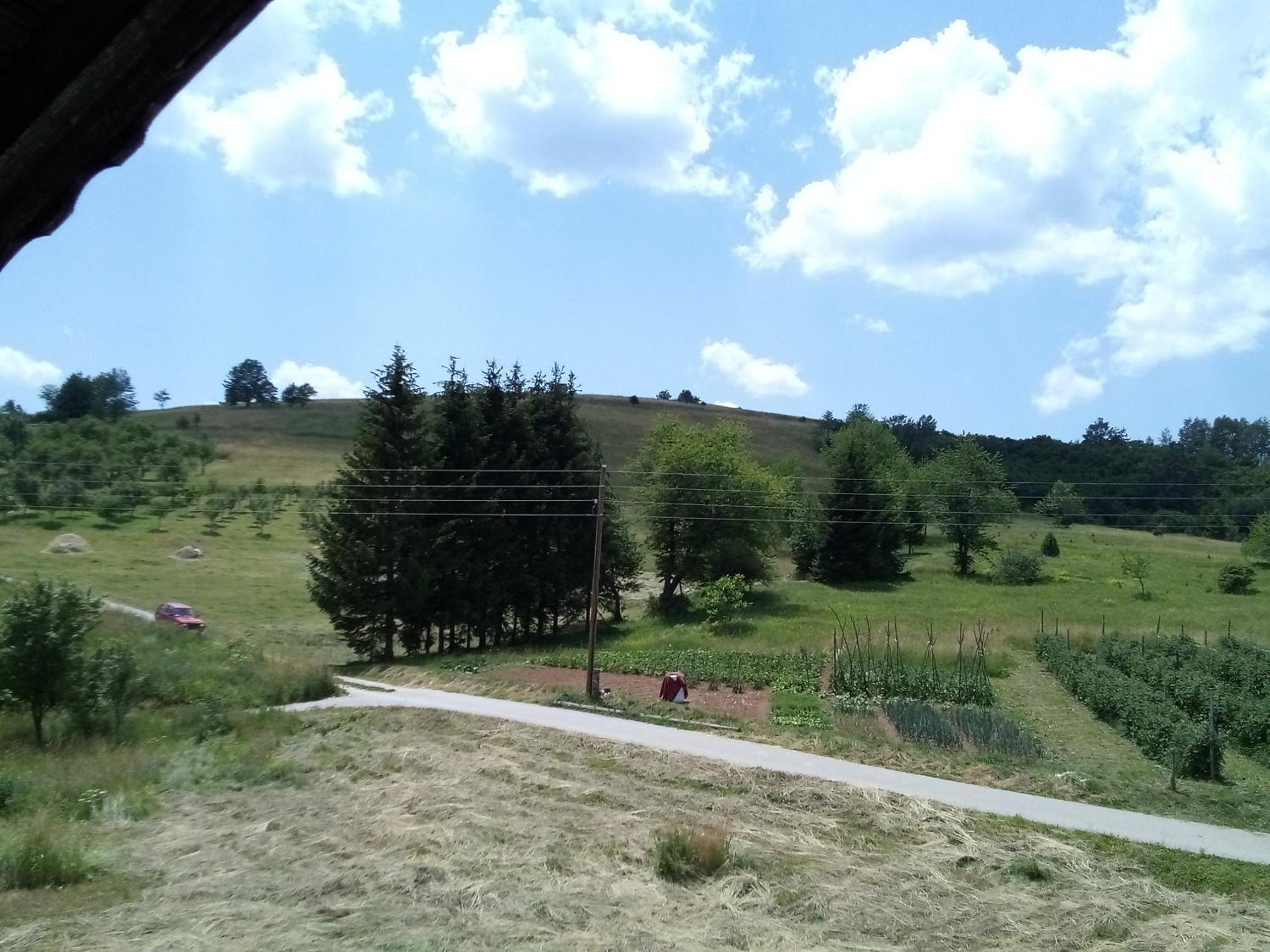 Photo 23