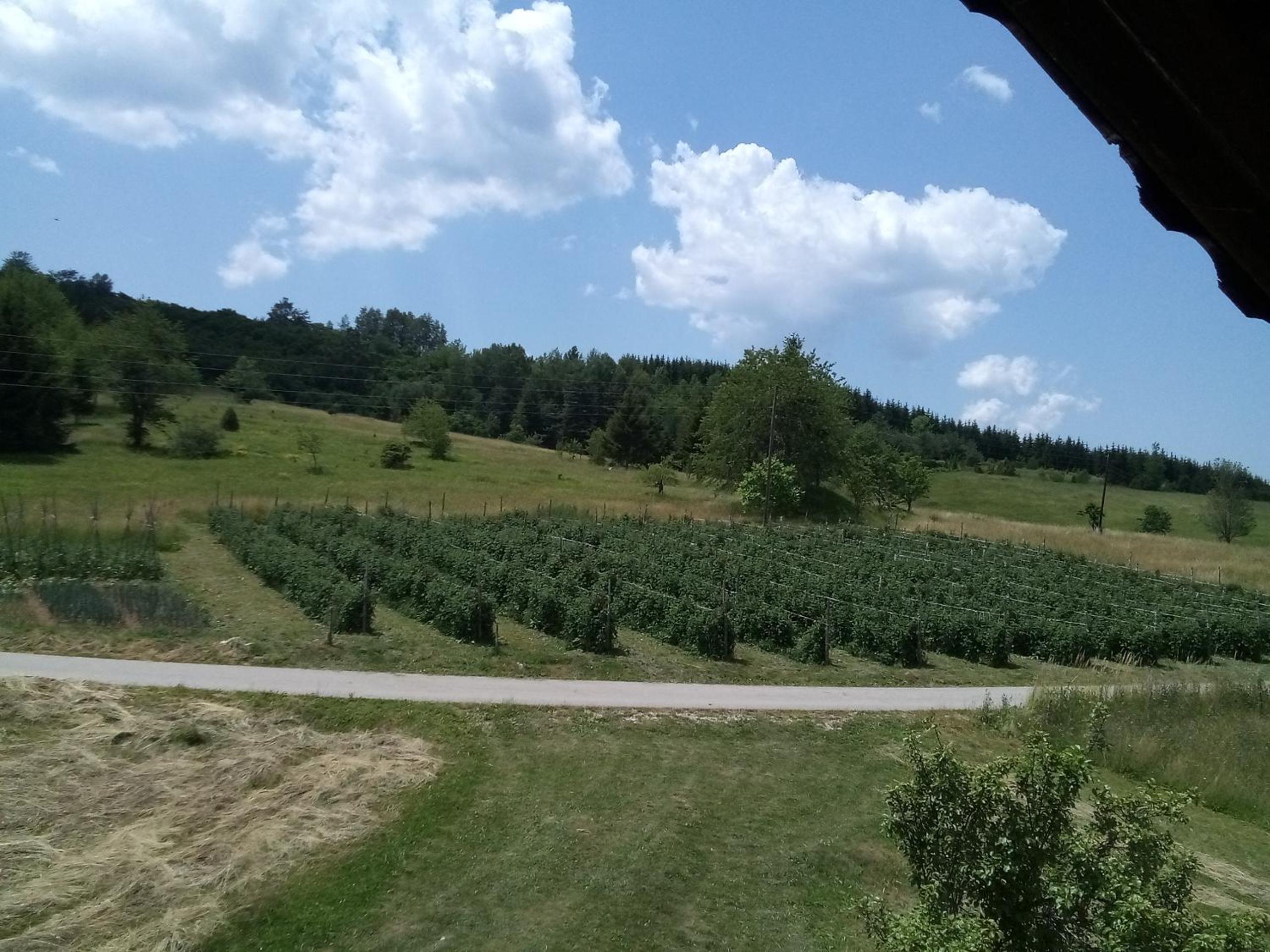 Photo 26