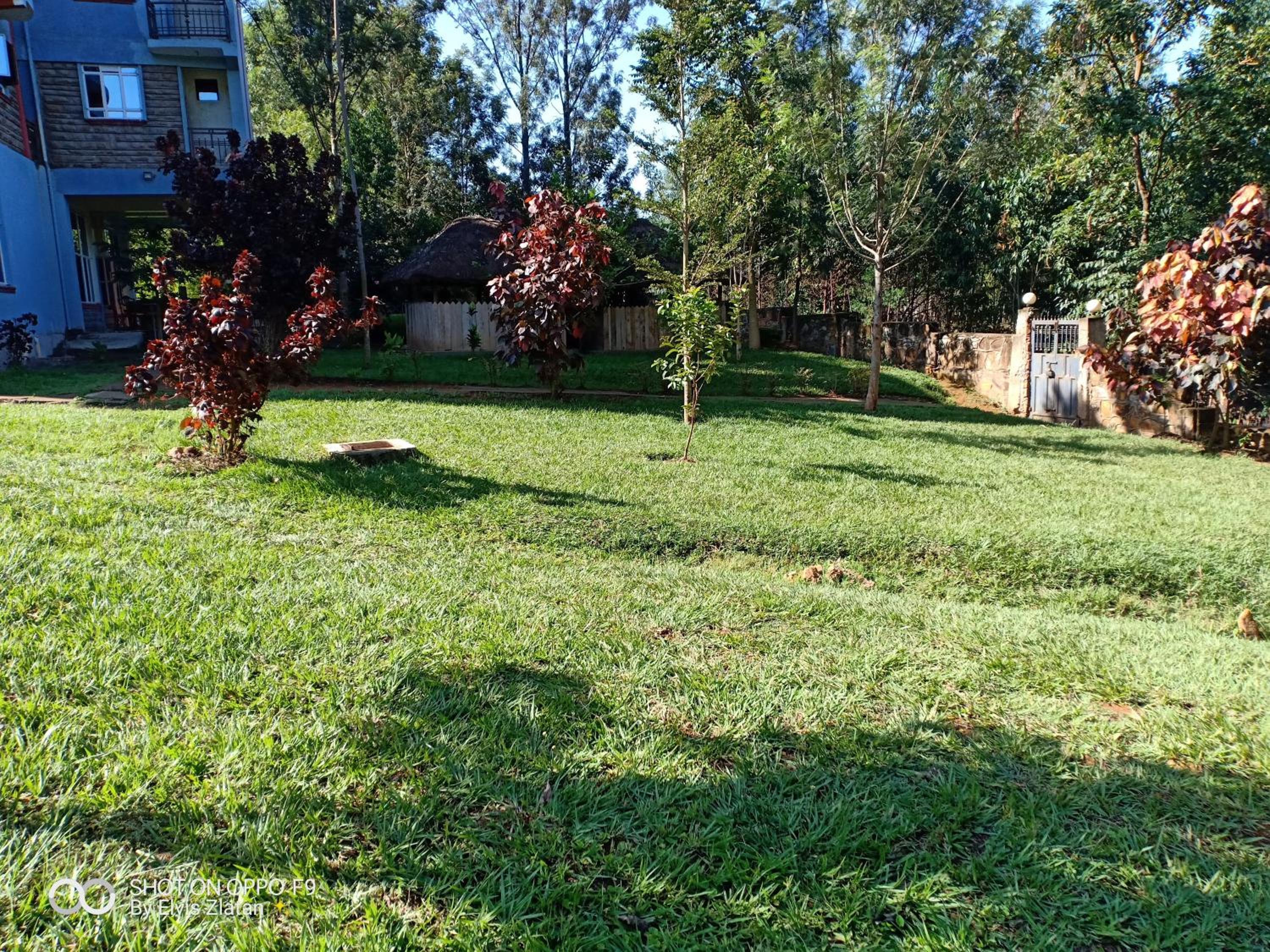 children's play area