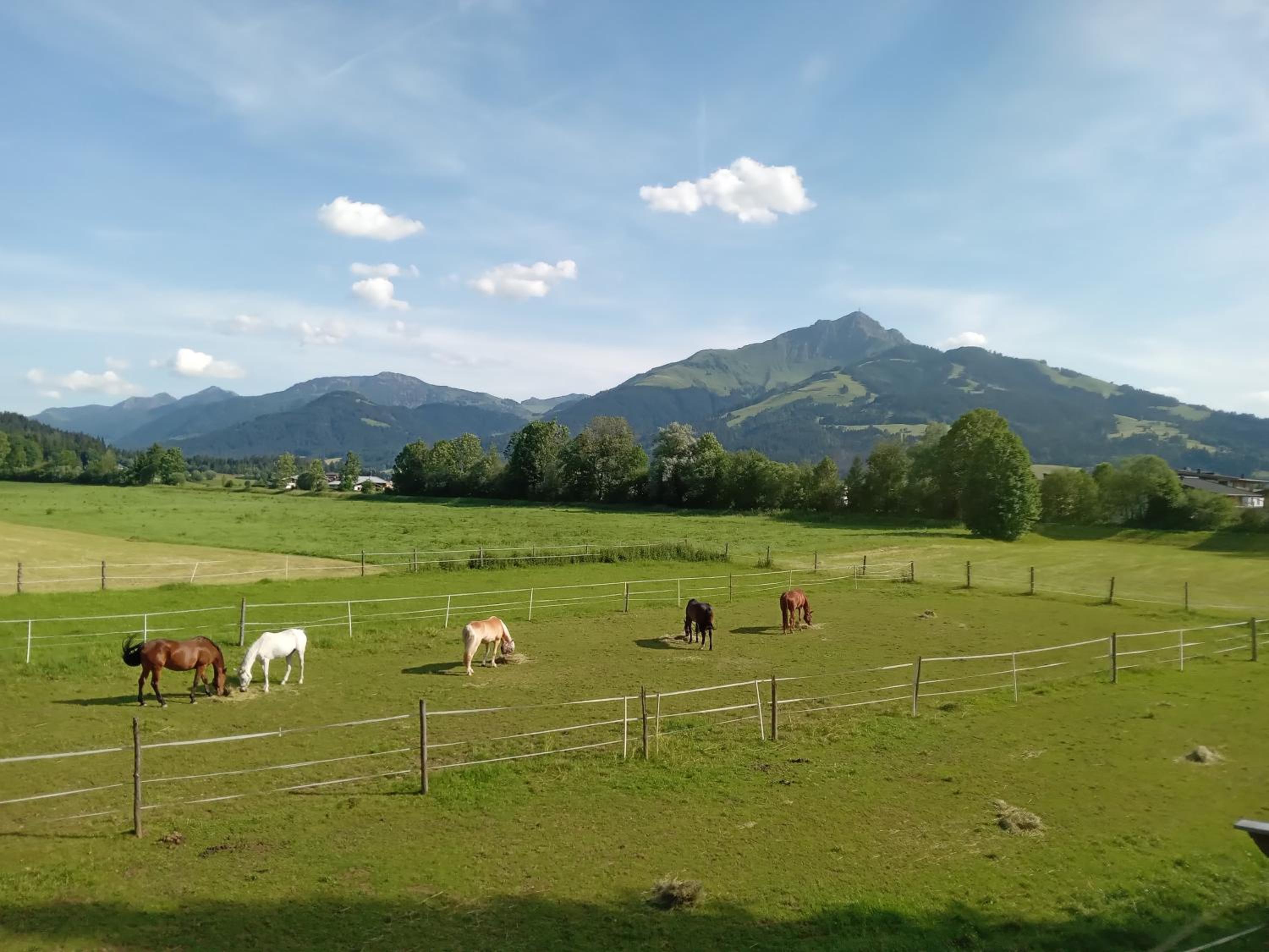 Apartment-Pension Schmiedererhof