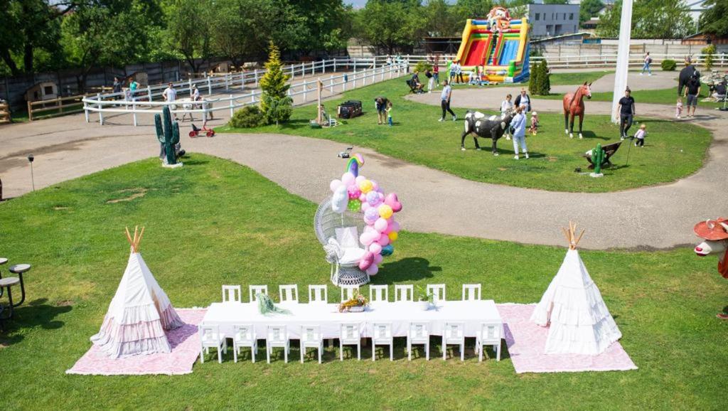 activities & amenities