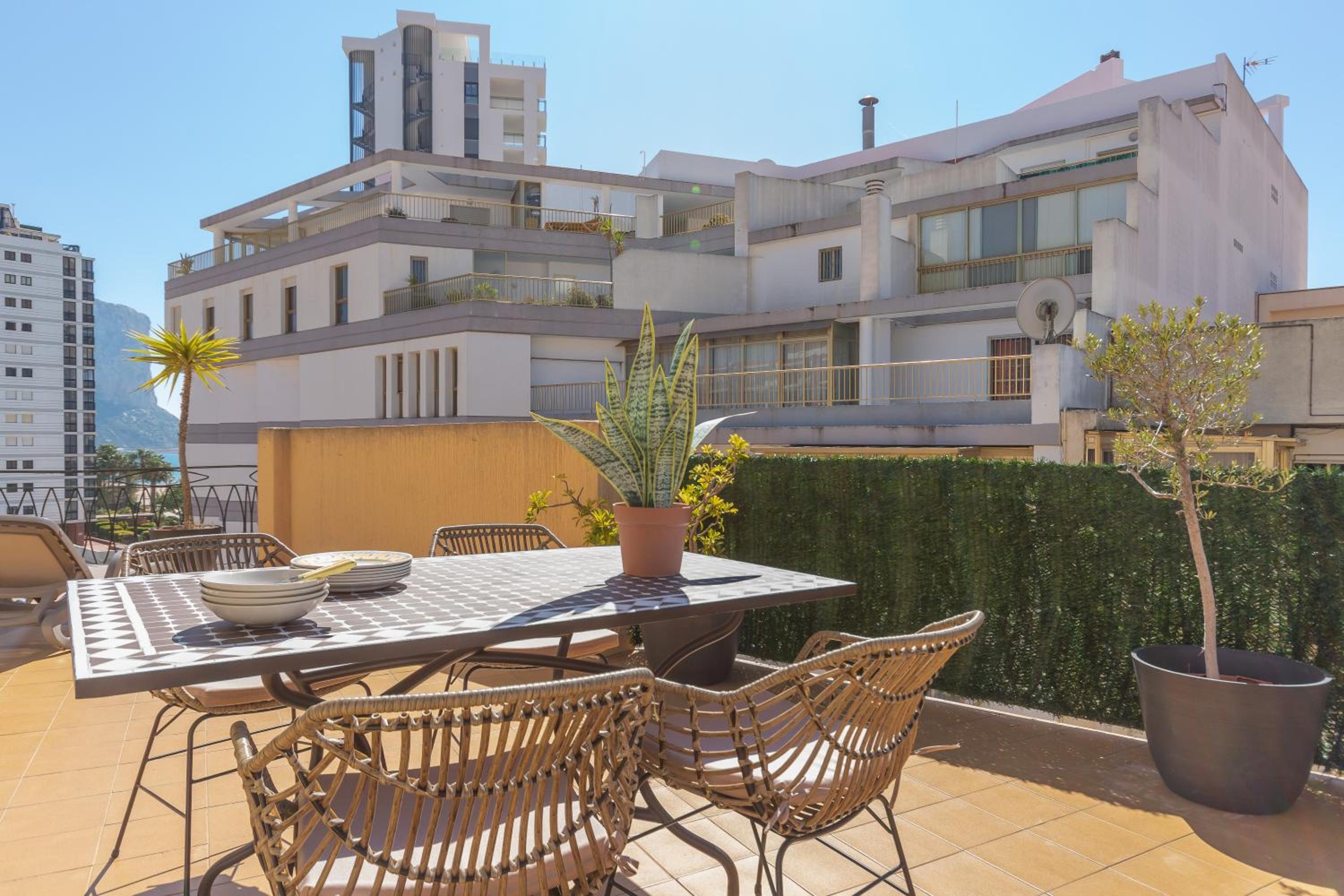 balance & terrace