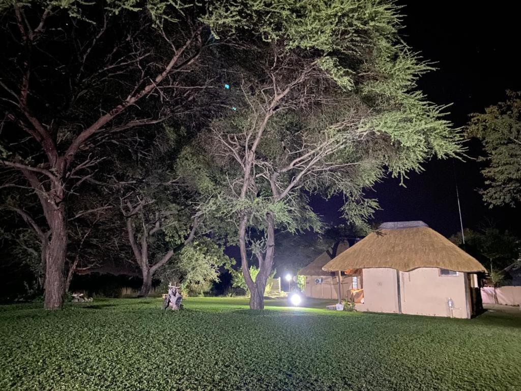 Big 5 Toro Lodge
