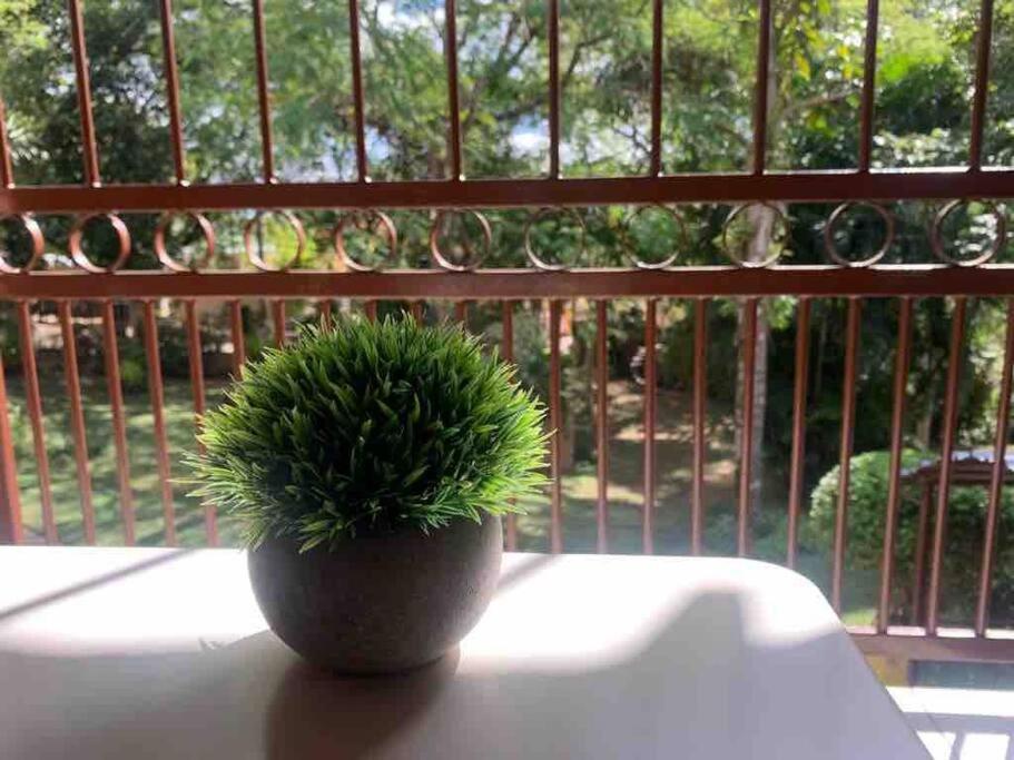 Hazyview Vacations - Serenity Garden Place - Property Image 1